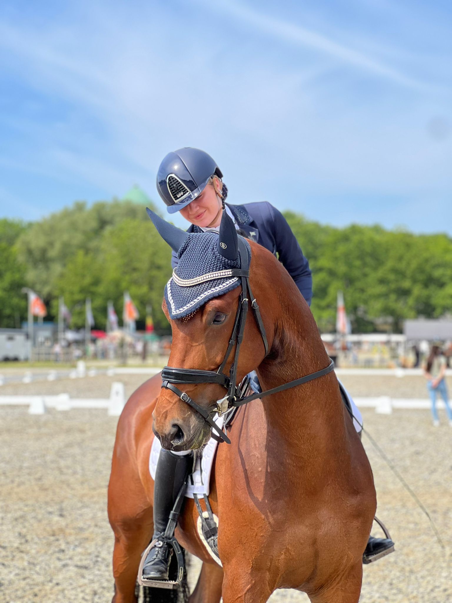 kwpn dressuurpaard ruin 7 år bruin till salu - Foto 5