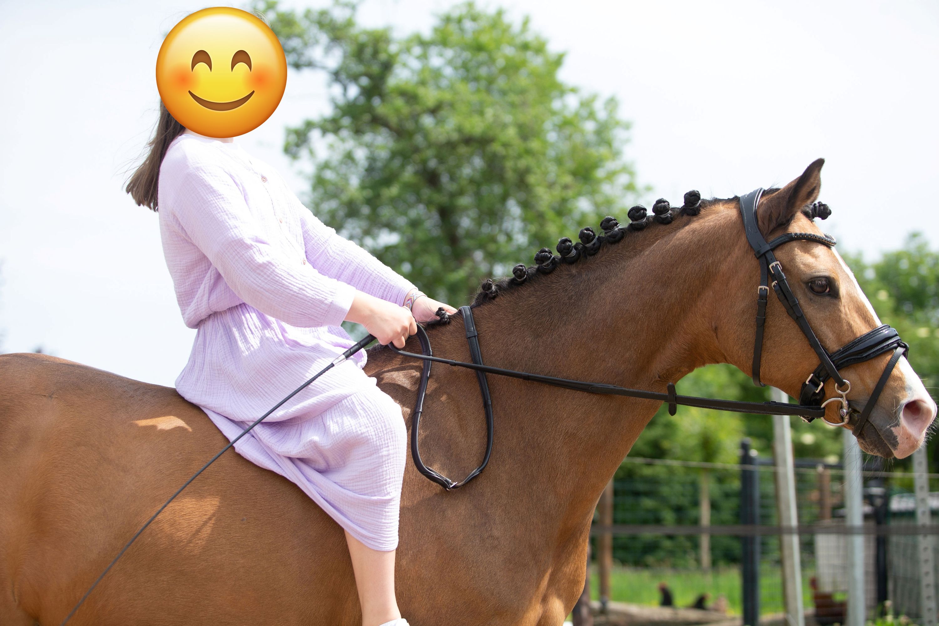 duitse-rijpony allround-pony merrie 17 سنوات andere-kleur للبيع - صورة 5