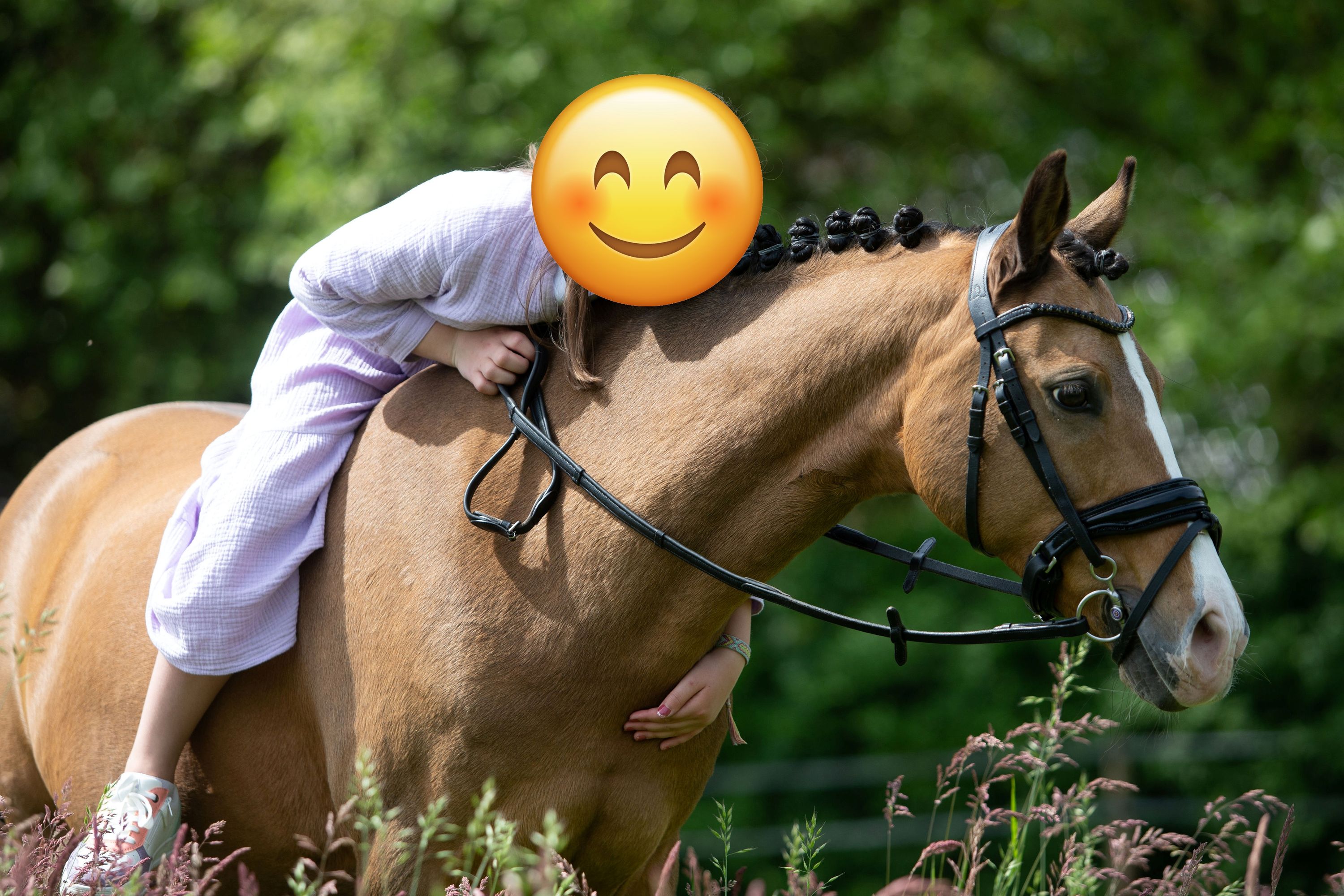 duitse-rijpony allround-pony merrie 17 سنوات andere-kleur للبيع - صورة 4