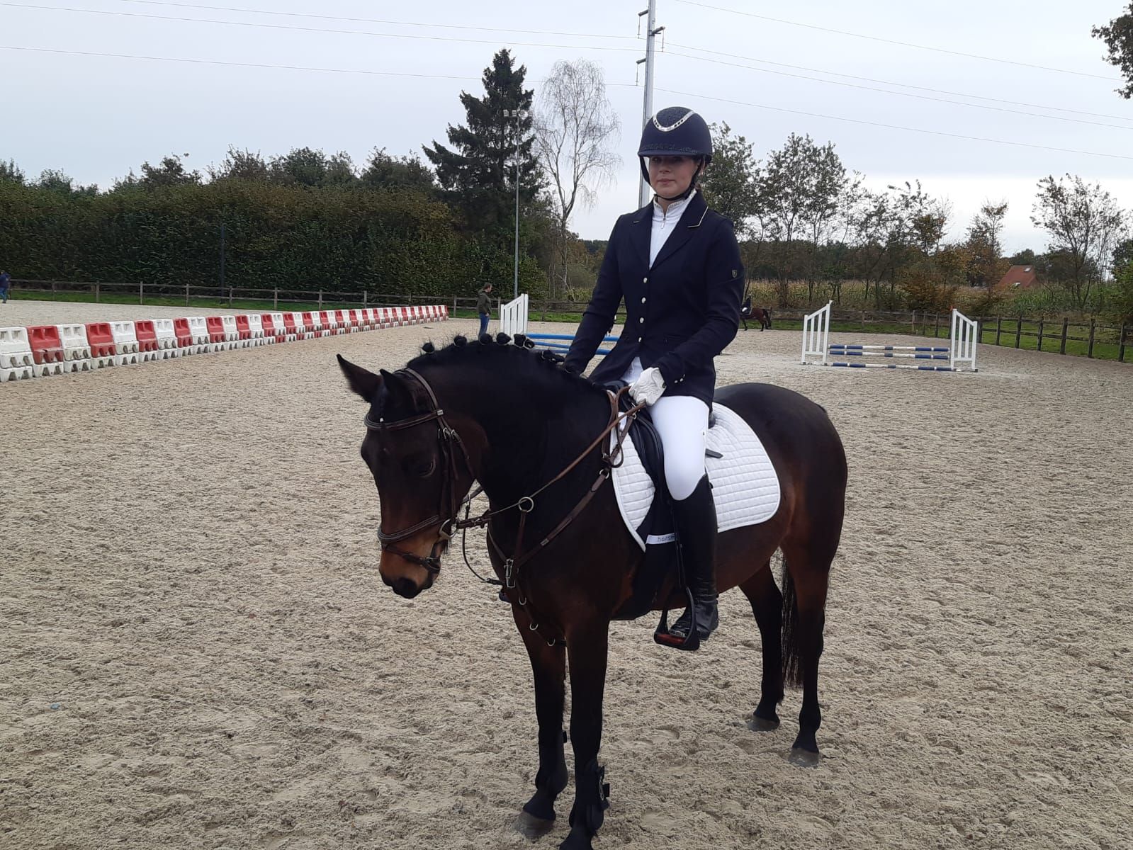 ander springpony merrie 9 years old donkerbruin for sale - Photo 5