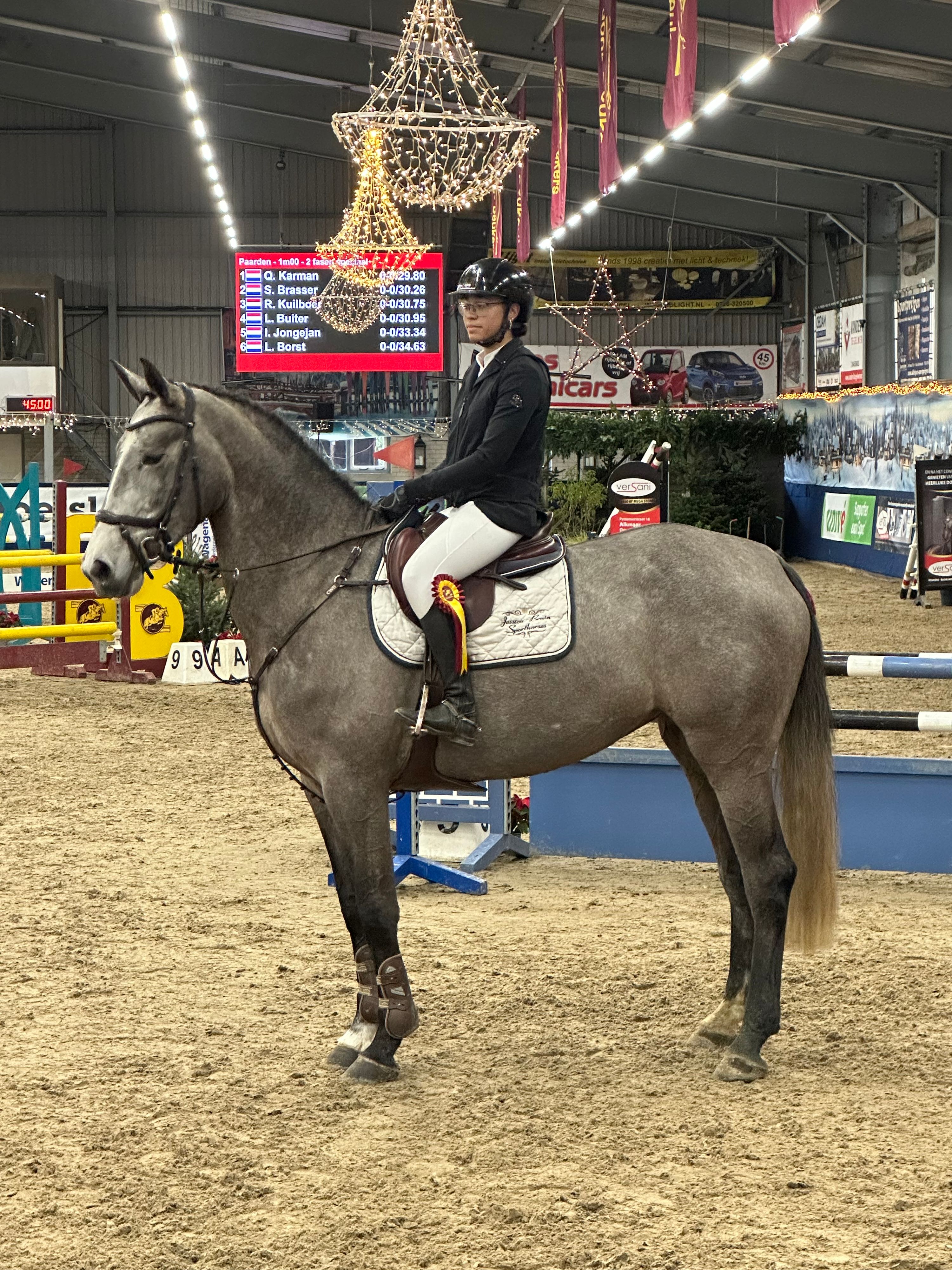 kwpn springpaard merrie 5 سنوات schimmel للبيع - صورة 2