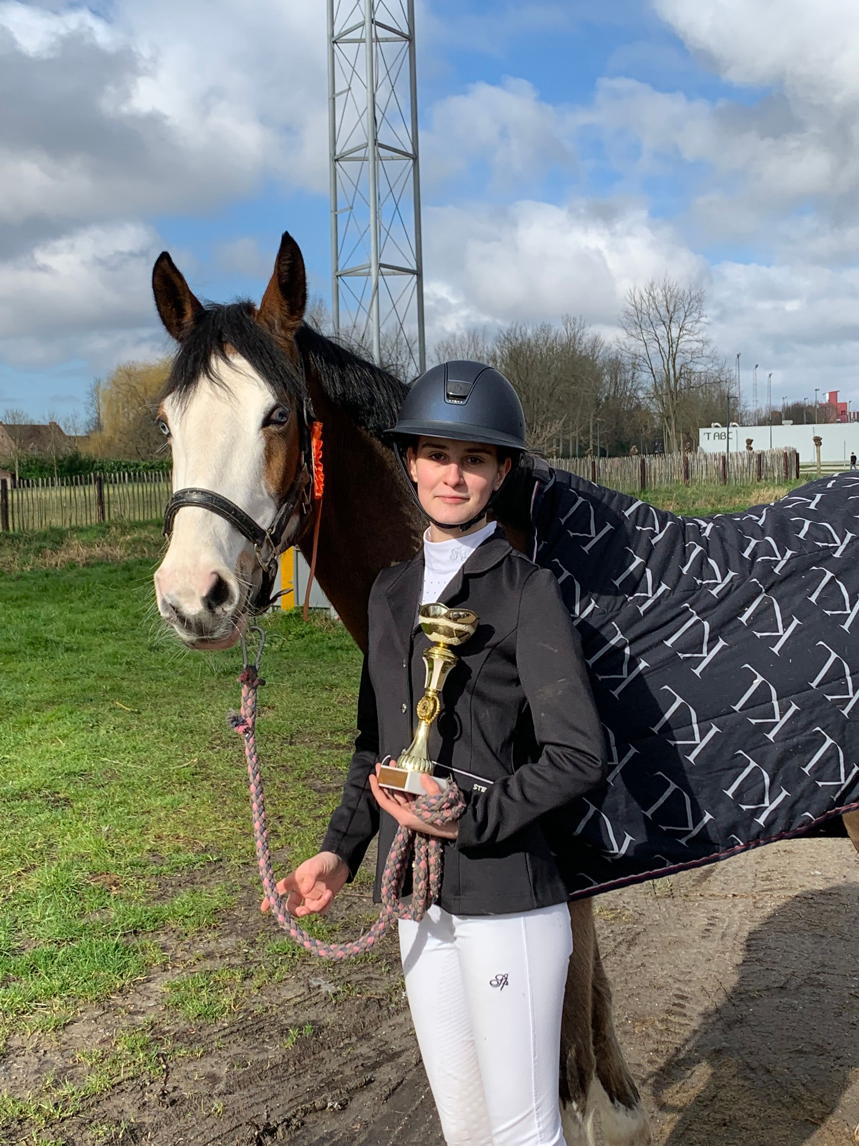 bwp springpony merrie 10 سنوات donkerbruin للبيع - صورة 6