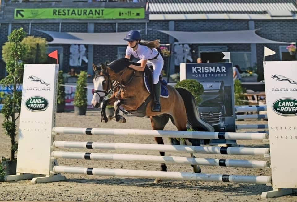 bwp springpony merrie 10 سنوات donkerbruin للبيع - صورة 4