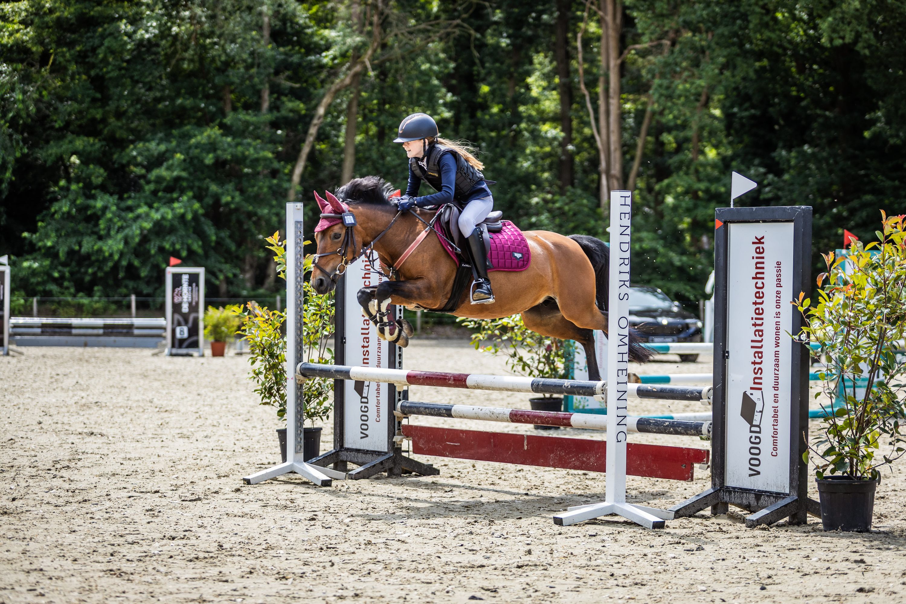 Knappe C-pony te koop