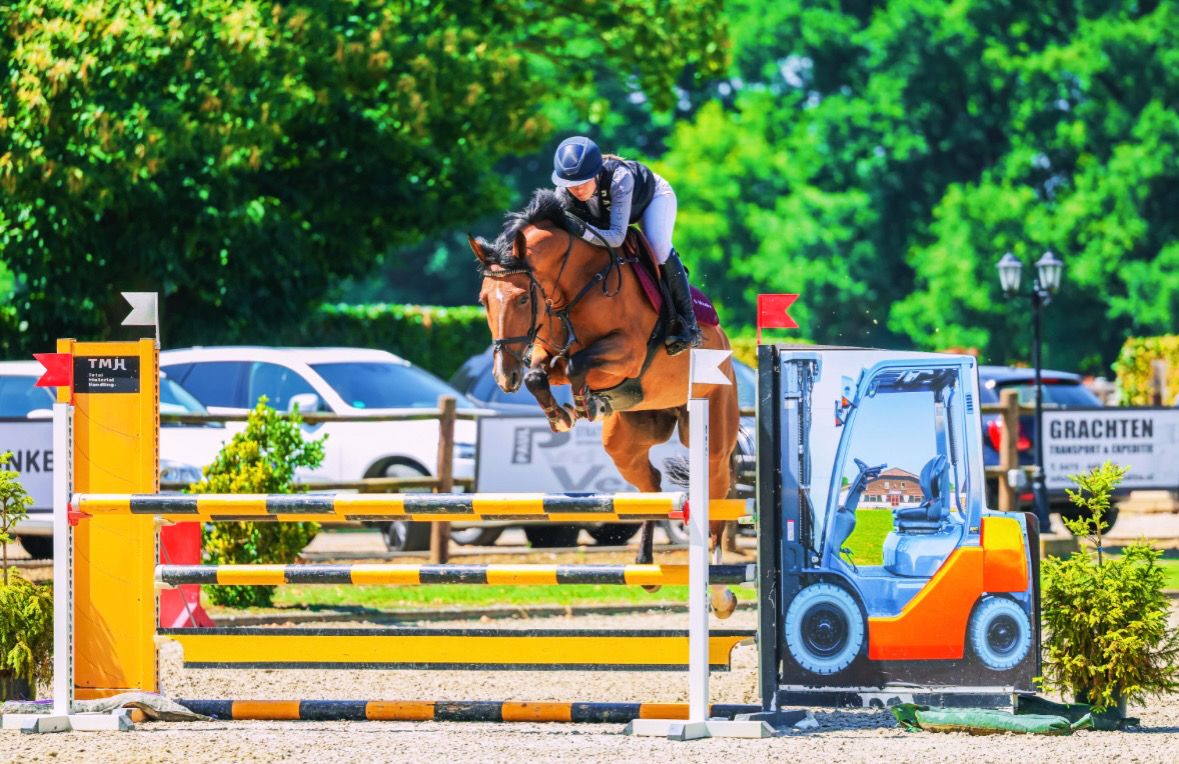 5-year-old Dourkan hero Z mare