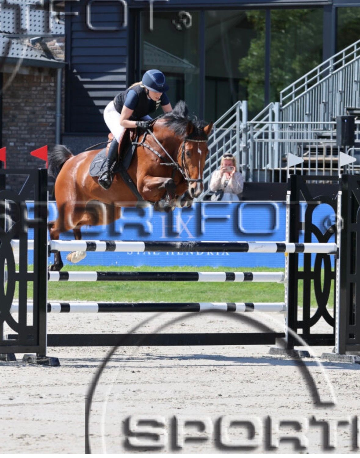 zangersheide springpaard merrie 5 years old bruin for sale - Photo 3