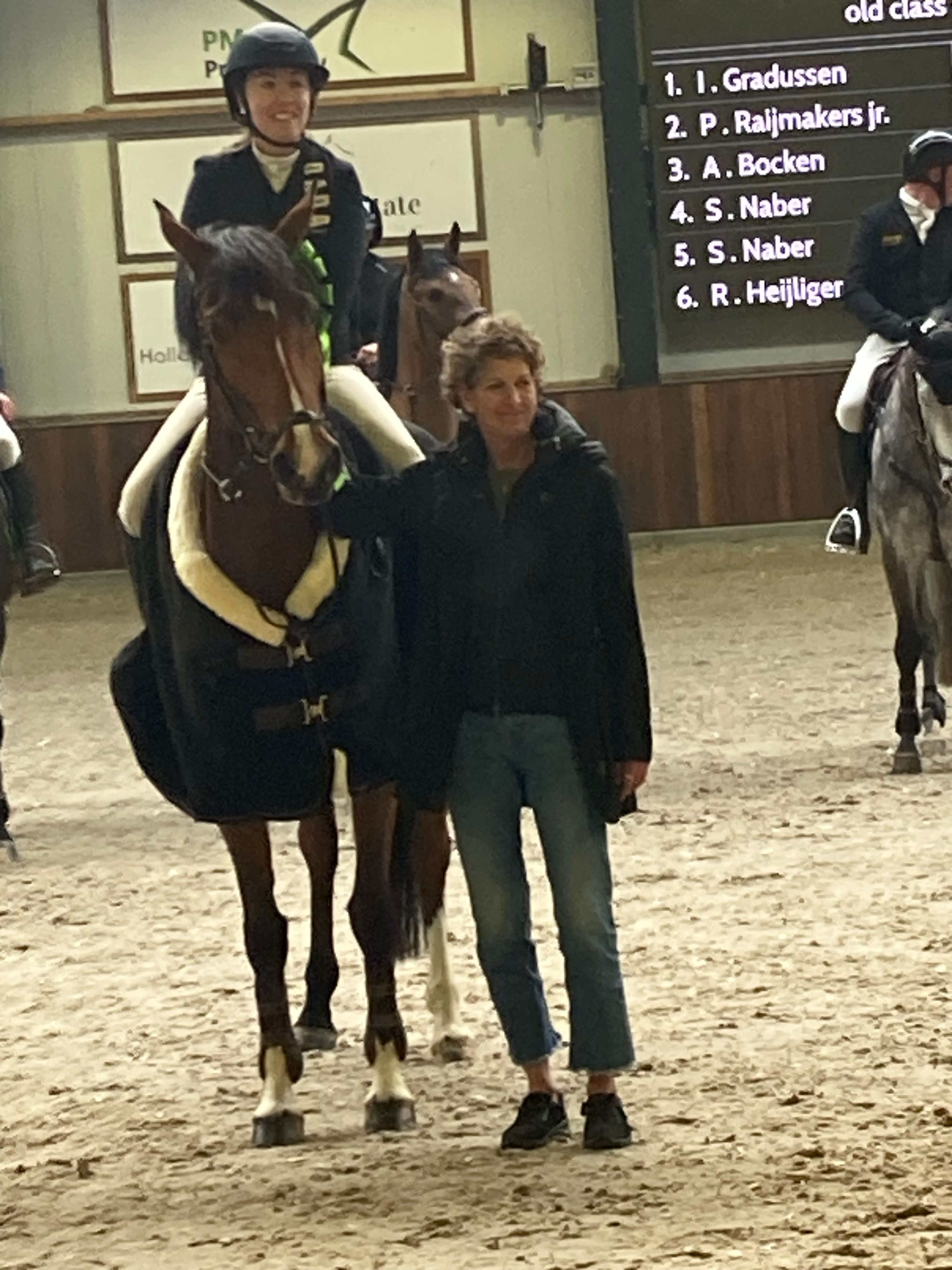 zangersheide springpaard merrie 5 years old bruin for sale - Photo 5