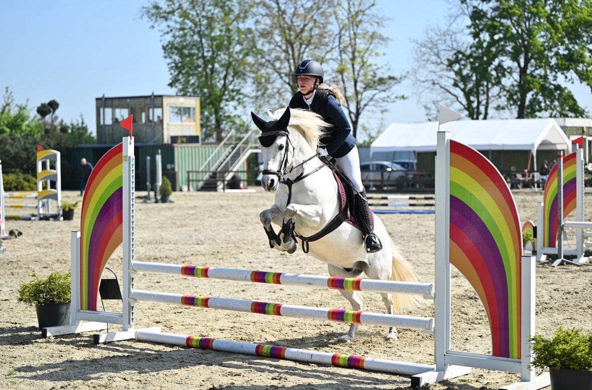 Handsome all-rounder sport C-pony