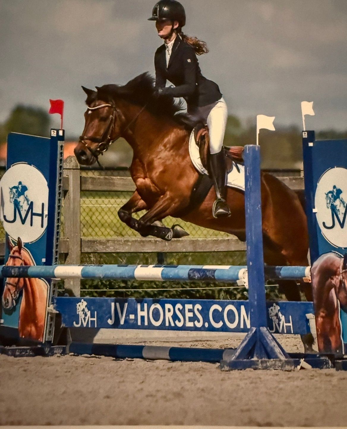 Experienced C pony for sale
