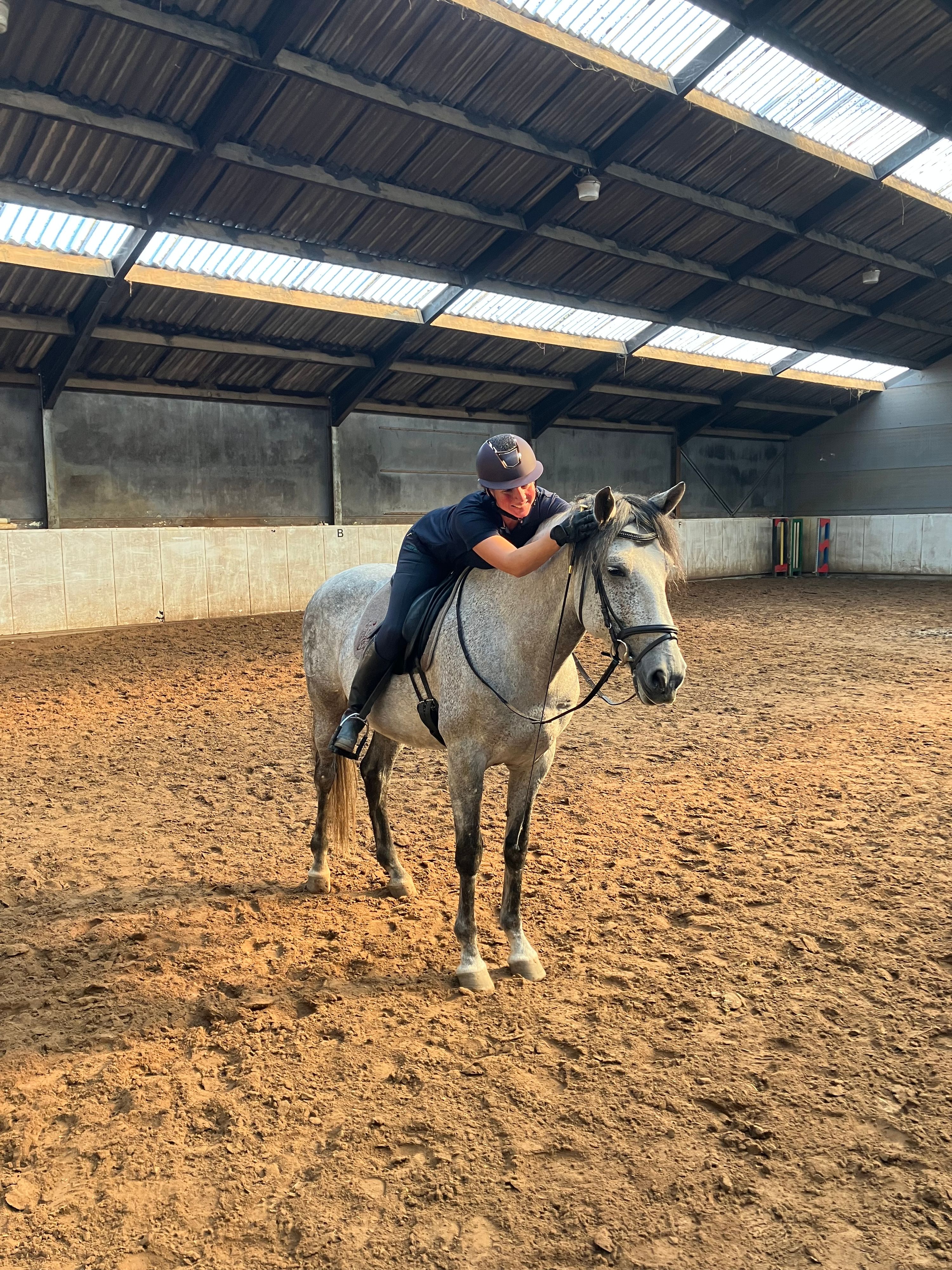 Andalusier dressuurpaard ruin 10 years old for sale - Photo 2
