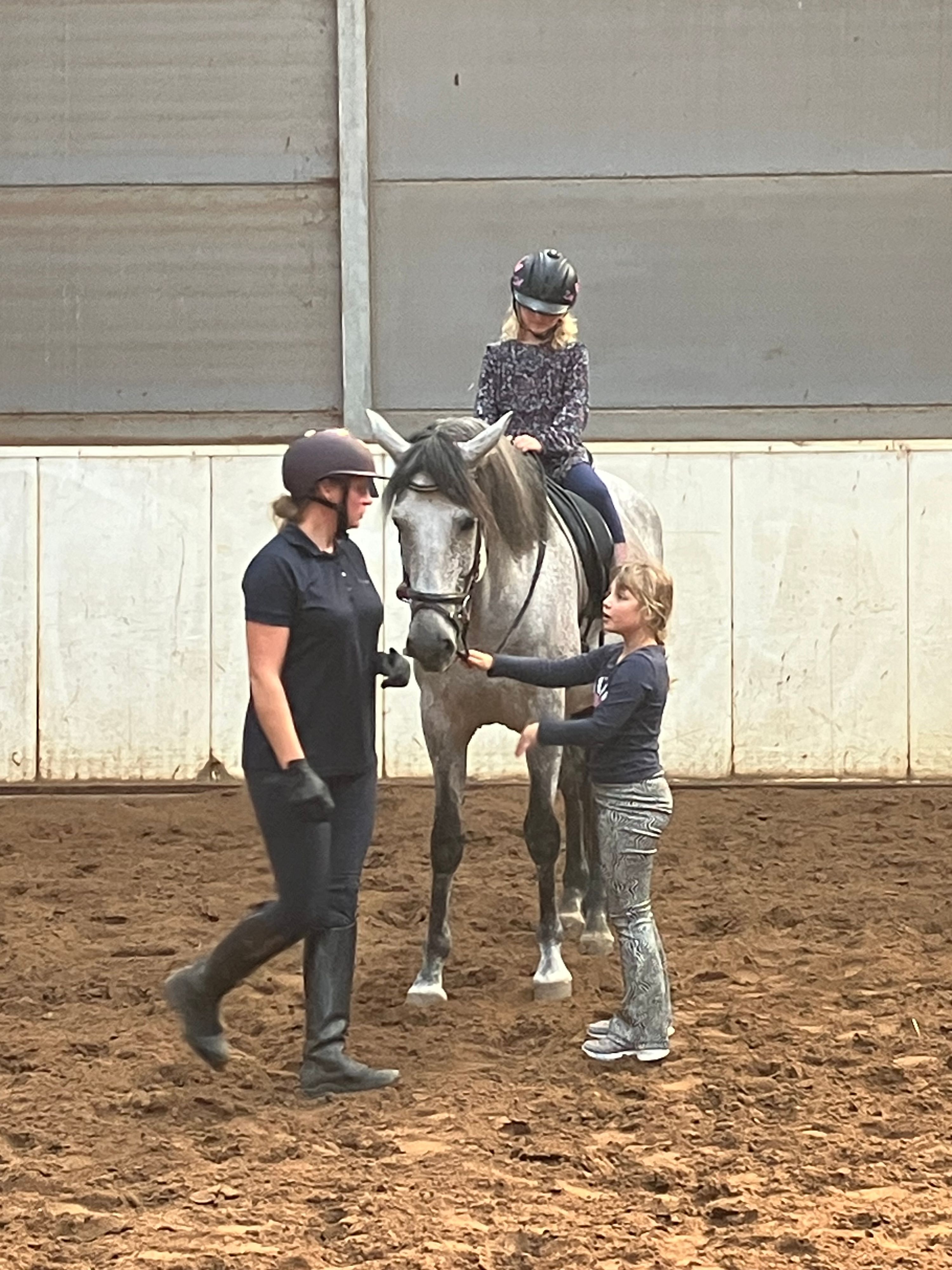 Andalusier dressuurpaard ruin 10 years old for sale - Photo 5