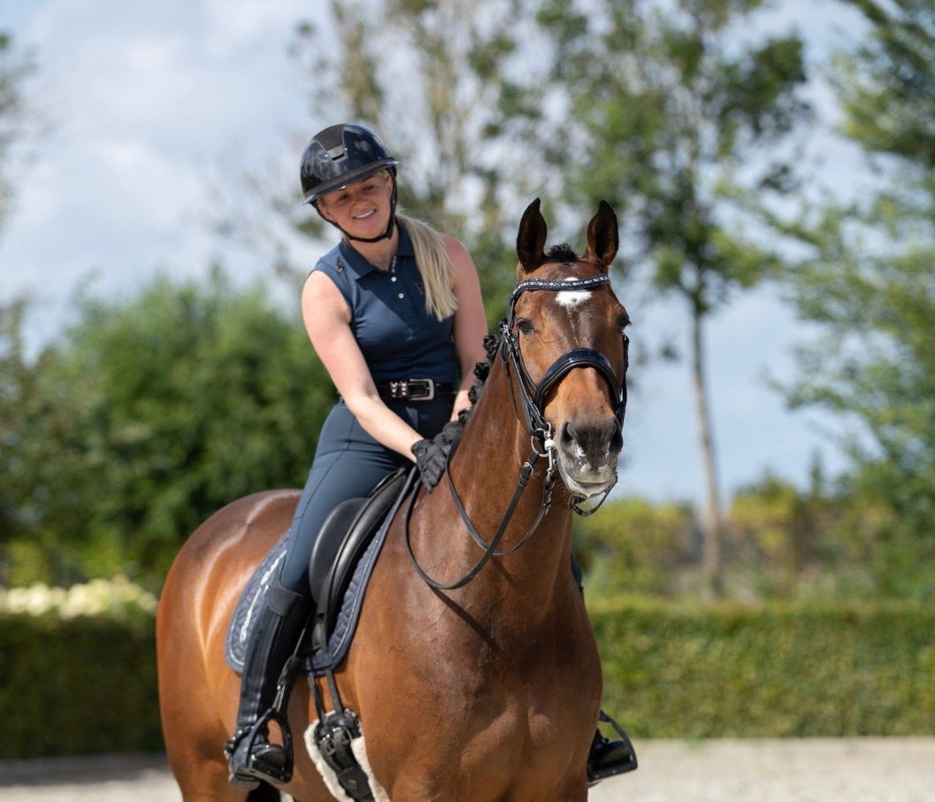 kwpn dressuurpaard merrie 13 Jahre alt bruin zu verkaufen - Foto 2