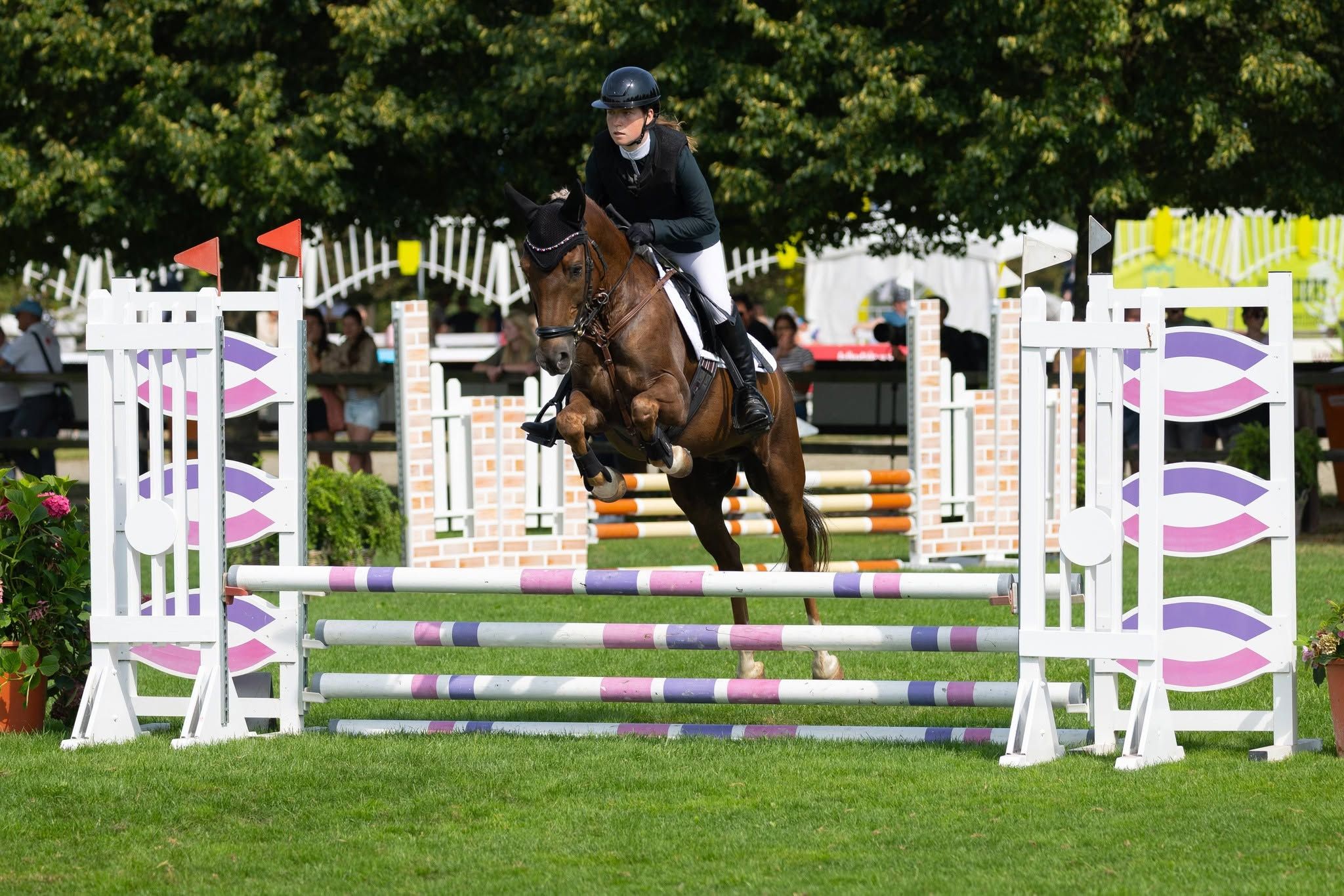 new-forest allround-pony ruin 11 years old vos for sale - Photo 2