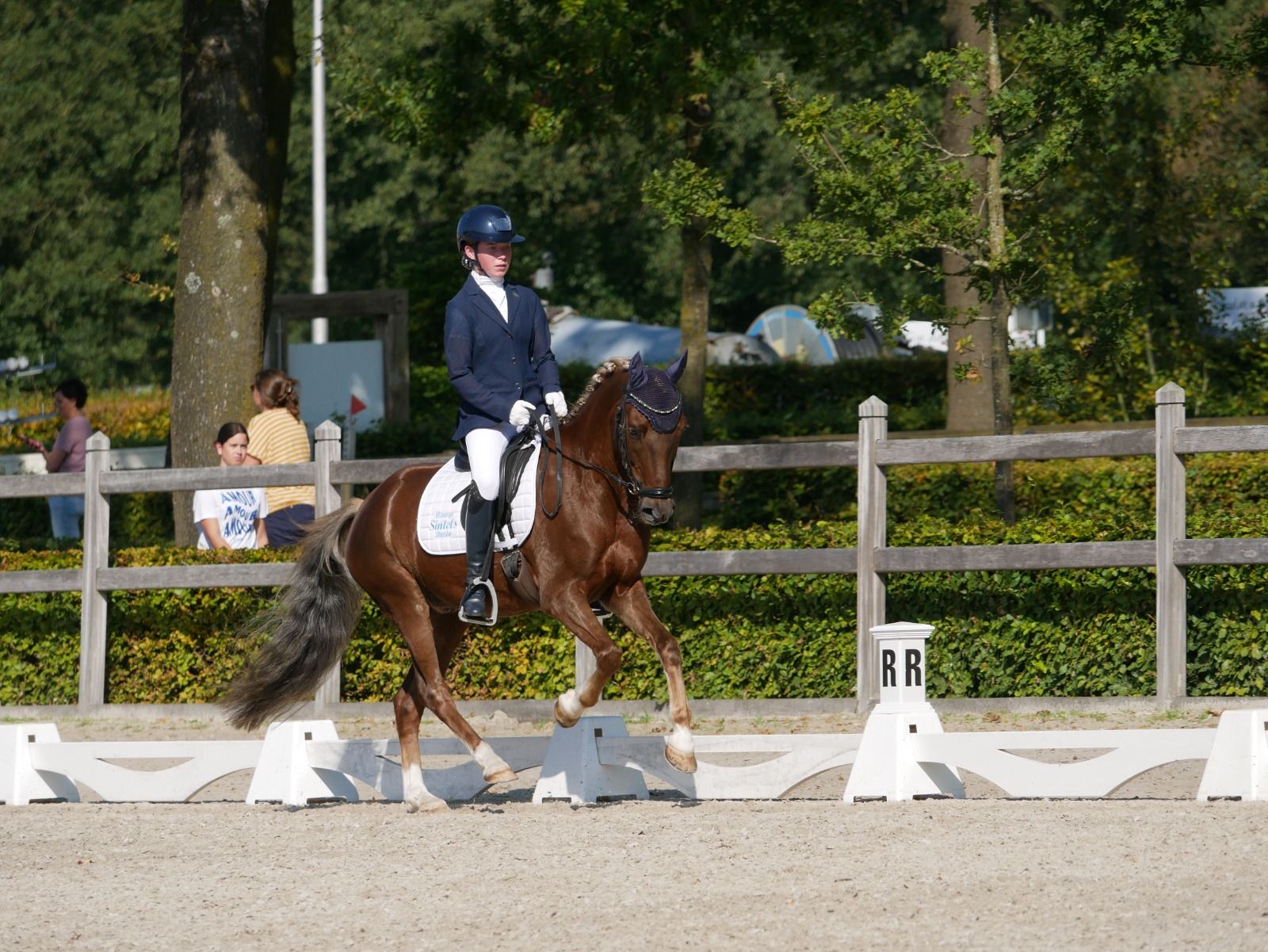 new-forest allround-pony ruin 11 years old vos for sale - Photo 4