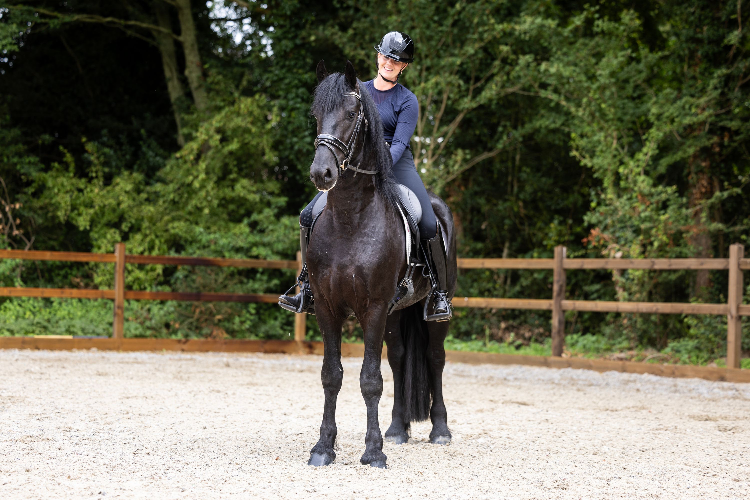 fries hengst 3 years old zwart for sale - Photo 3