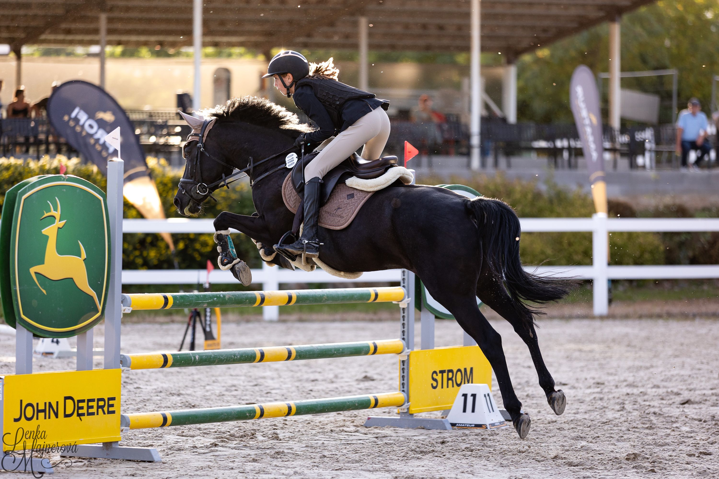 Quality showjumping pony