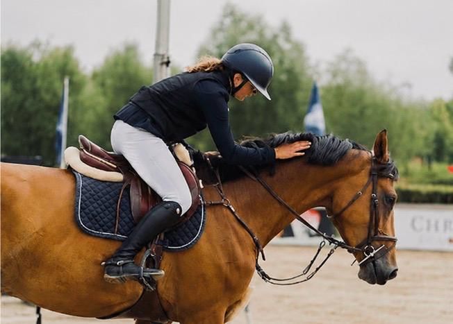 Talangfull 4-årig valack från egen uppfödning
