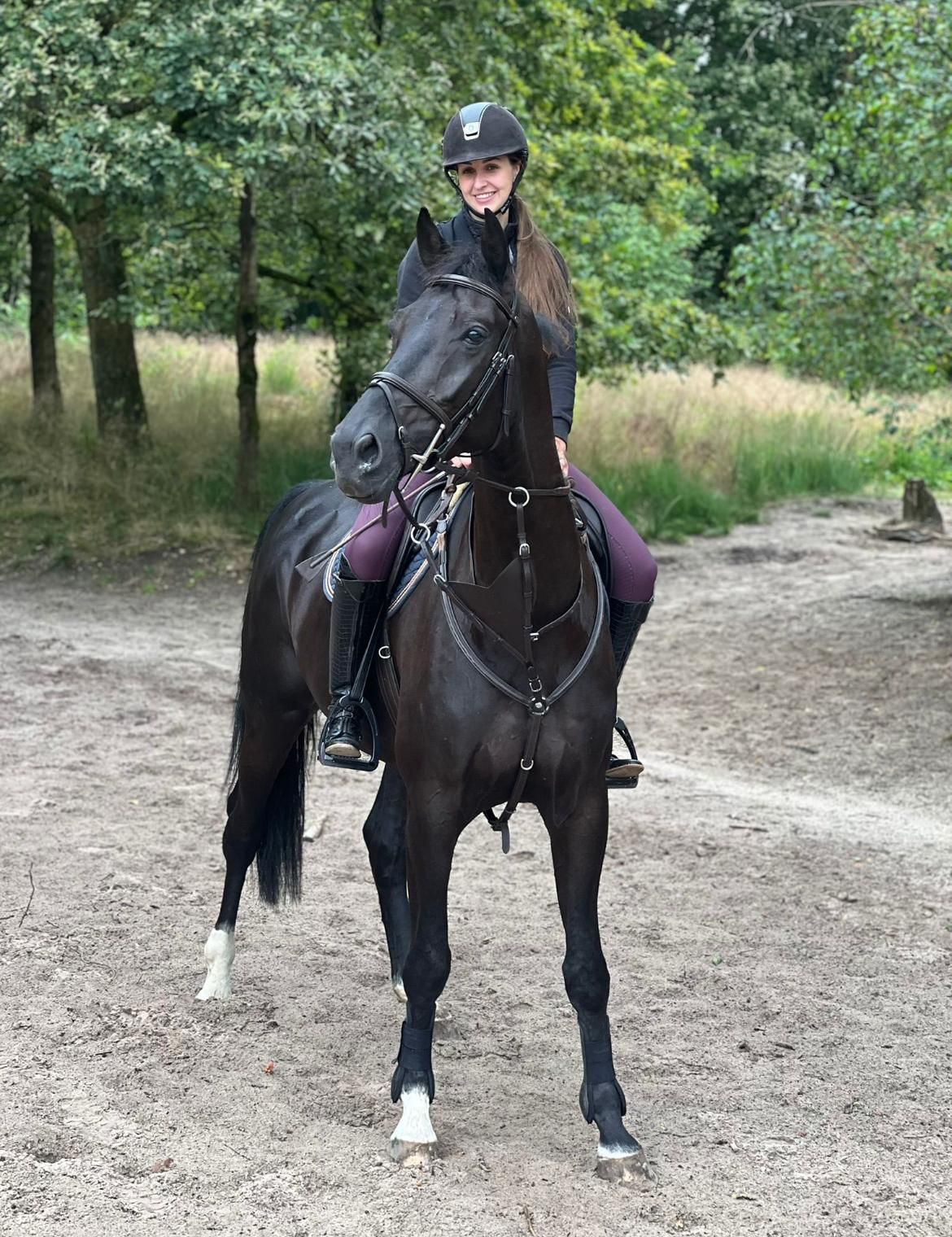 kwpn springpaard ruin 7 years old zwart for sale - Photo 3