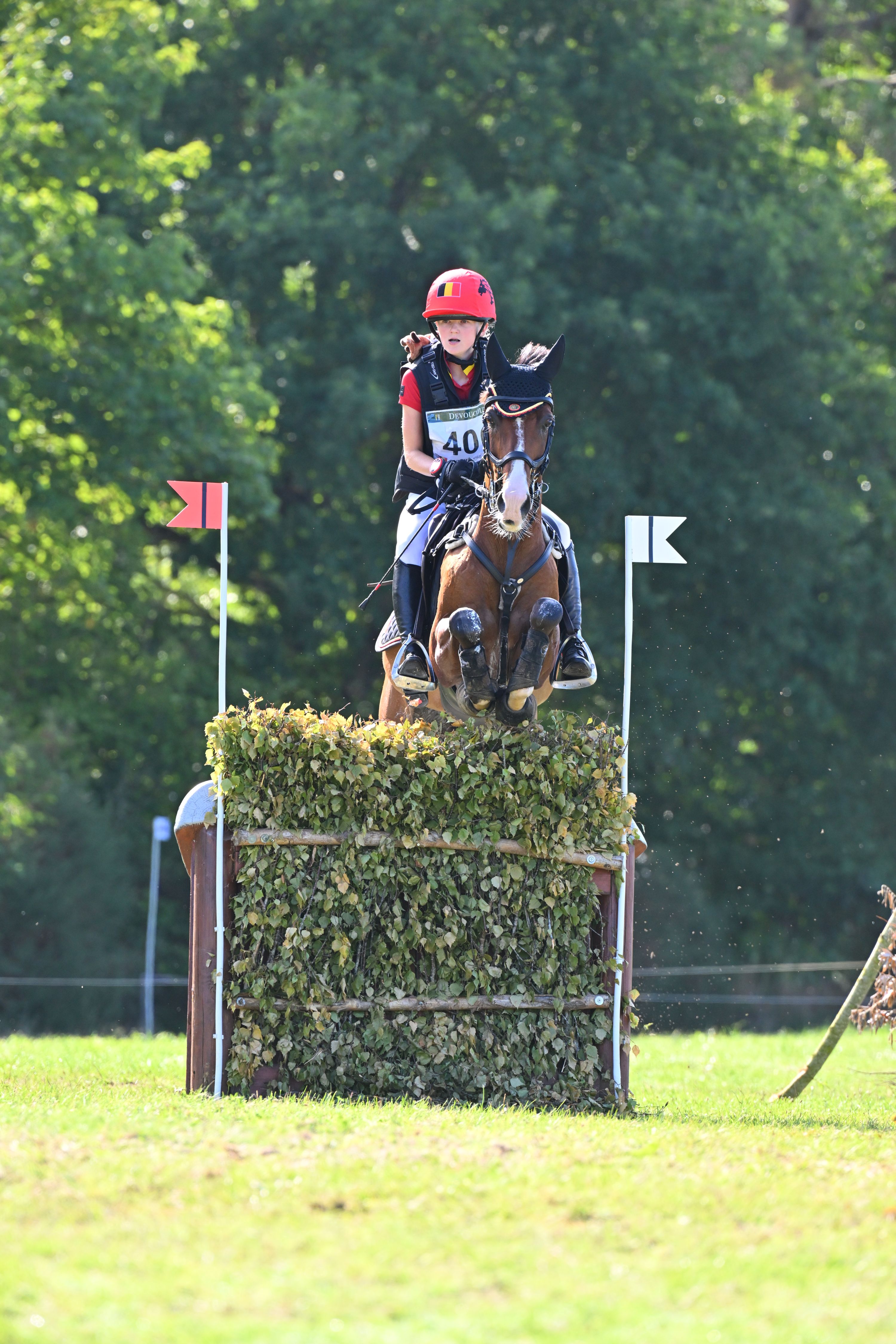 Top Eventing pony