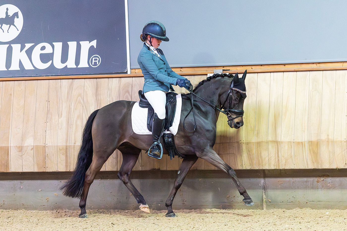 ander dressuurpony ruin 13 years old donkerbruin for sale - Photo 4