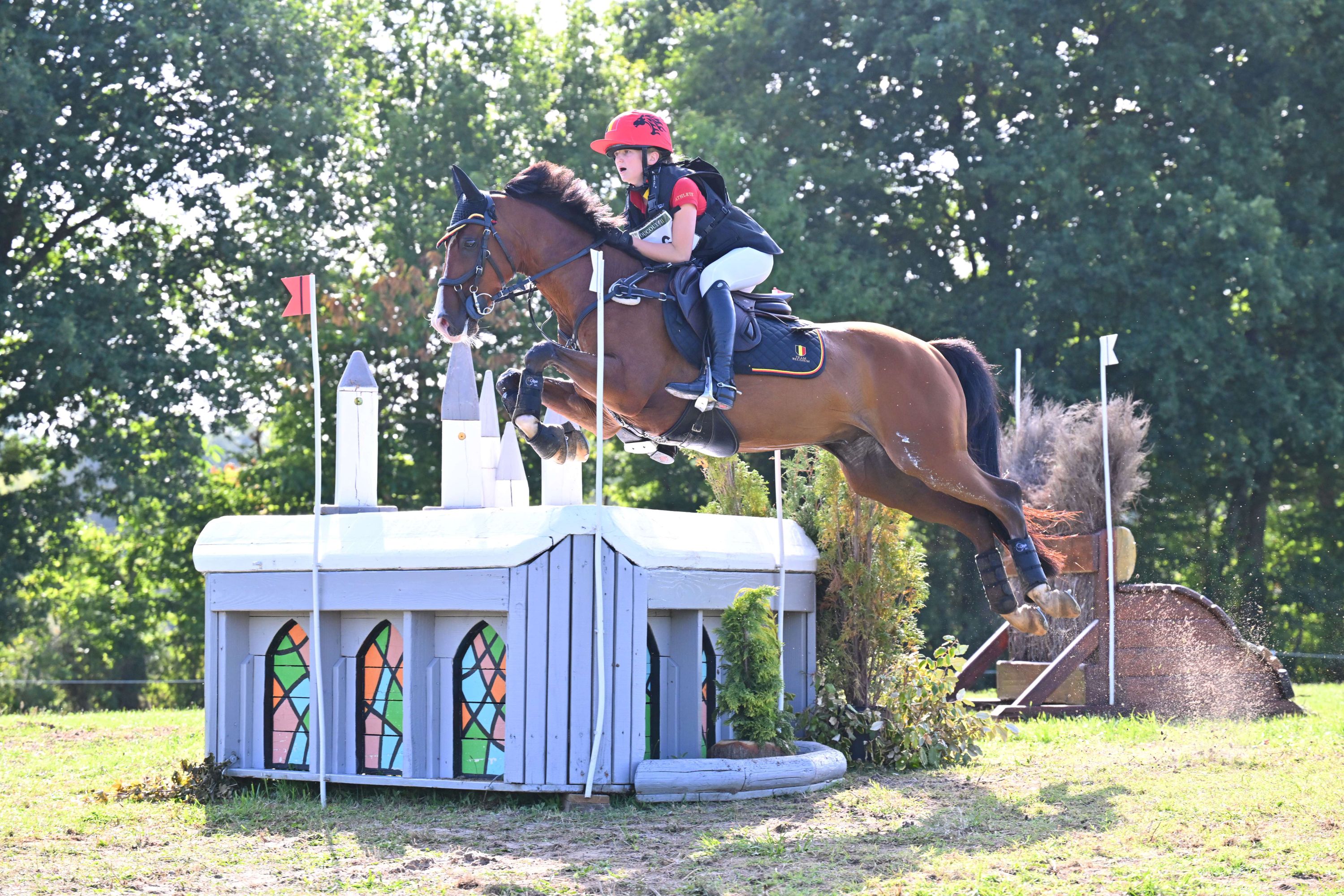 bwp eventingpony ruin 11 years old vos for sale - Photo 2