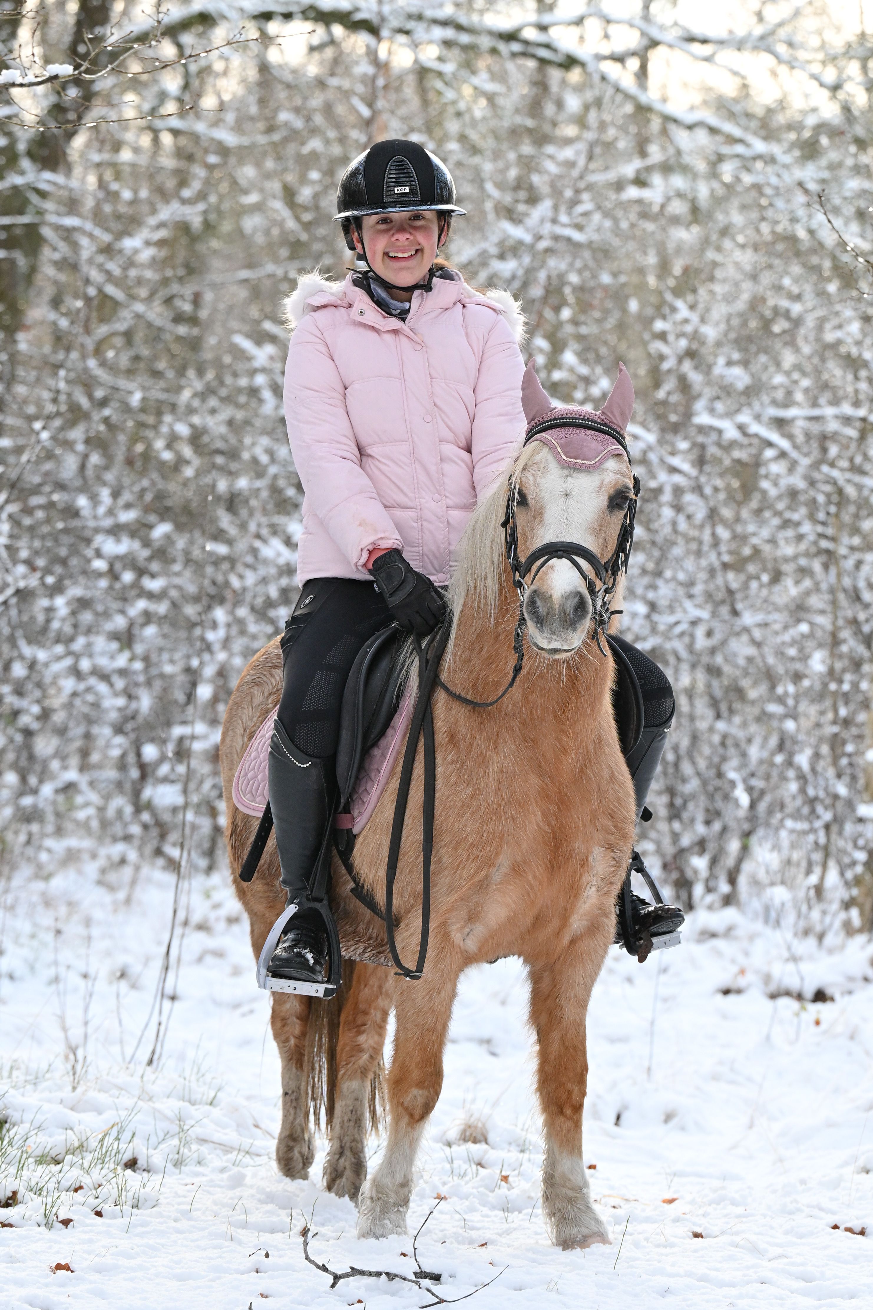 welsh allround-pony merrie 13 years old andere-kleur for sale - Photo 4