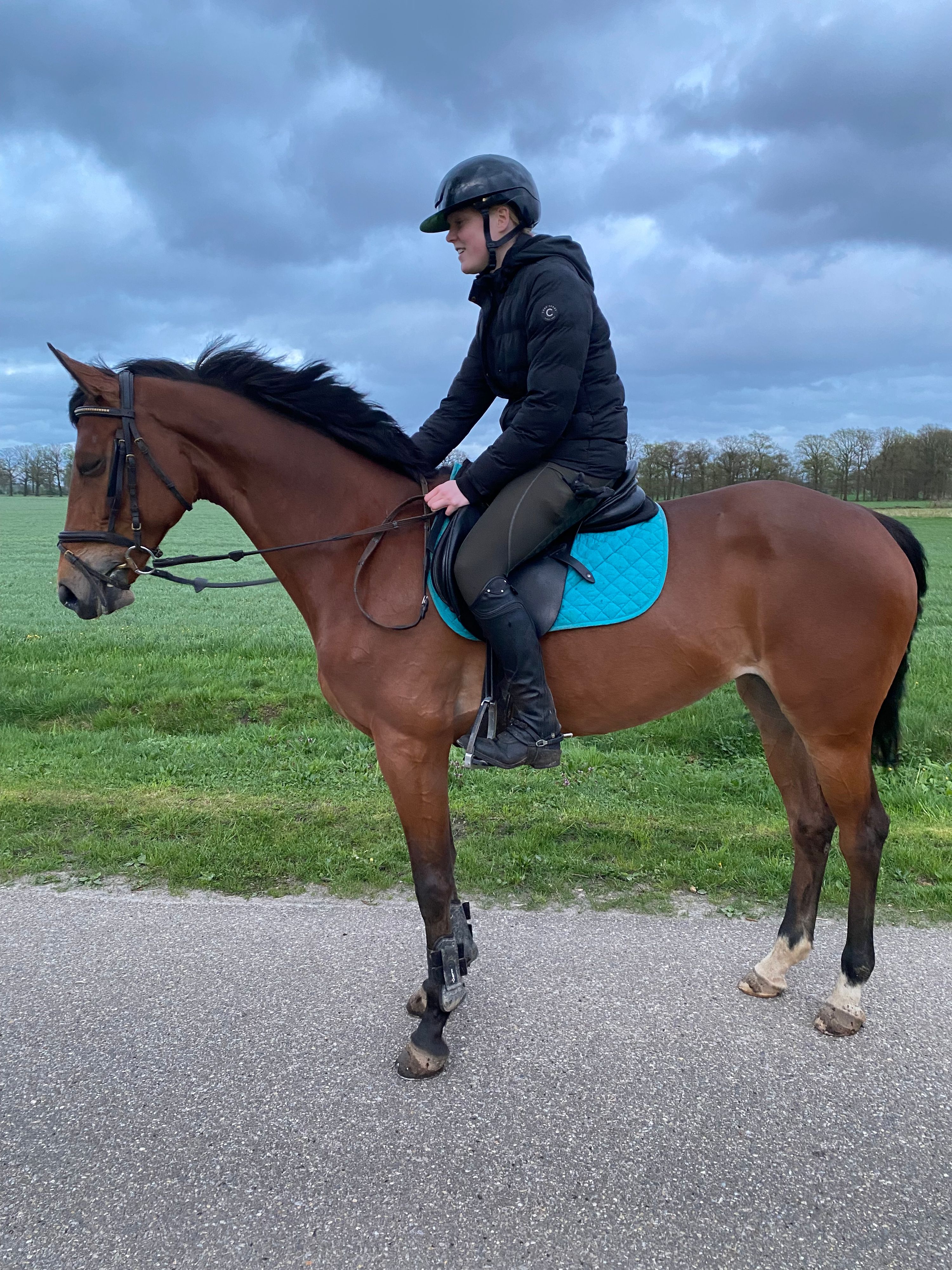 kwpn allround-pony merrie 10 years old for sale - Photo 2
