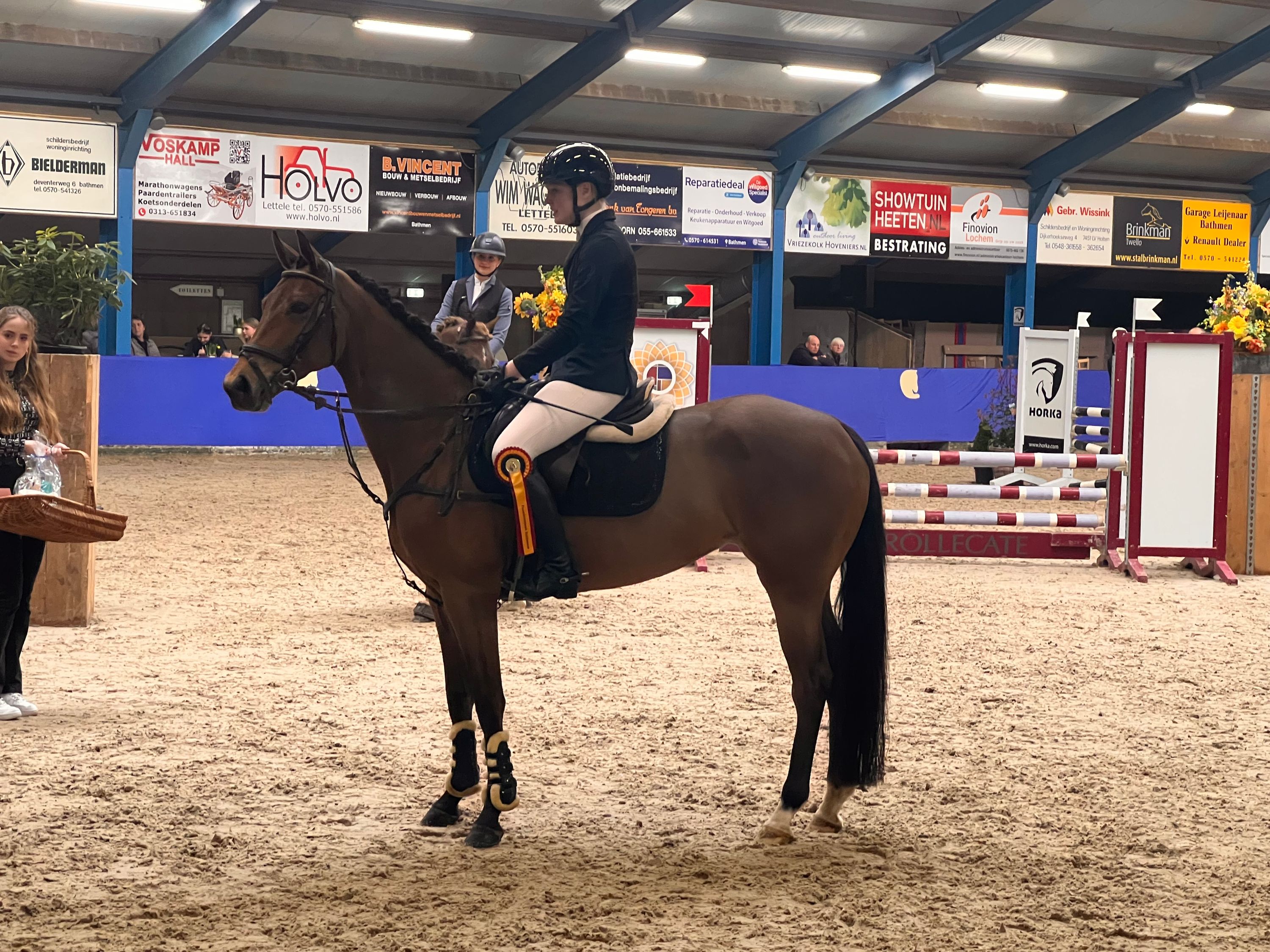 kwpn allround-pony merrie 10 years old for sale - Photo 4