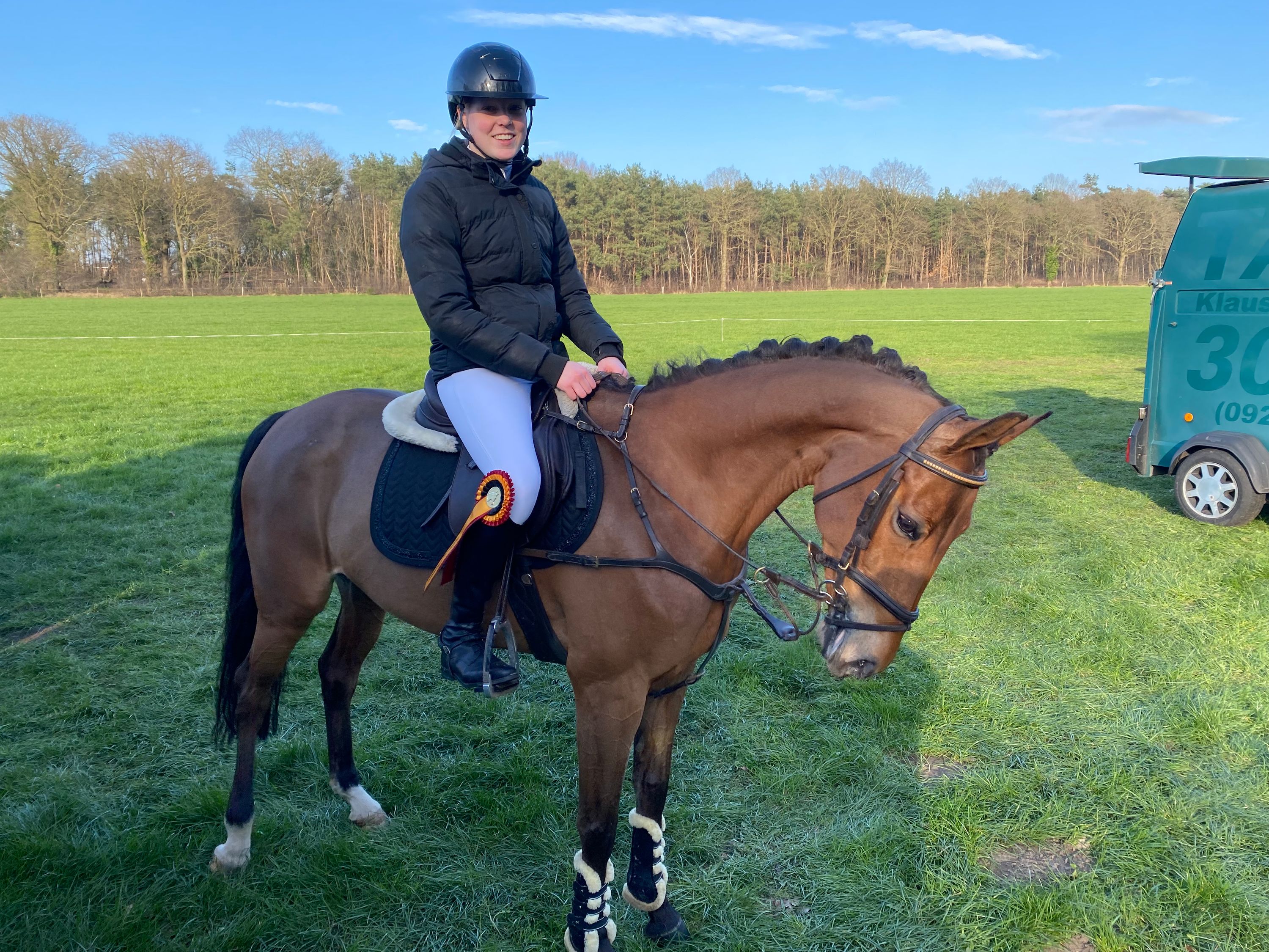 kwpn allround-pony merrie 10 years old for sale - Photo 3