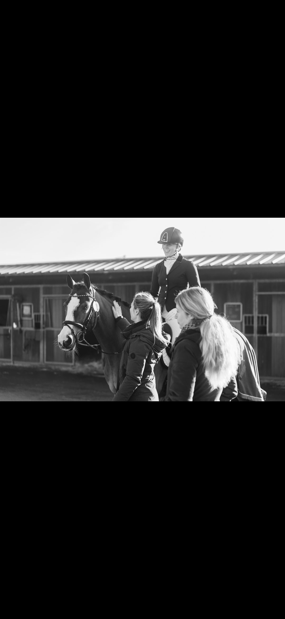 kwpn paard merrie 11 years old bruin for sale - Photo 4