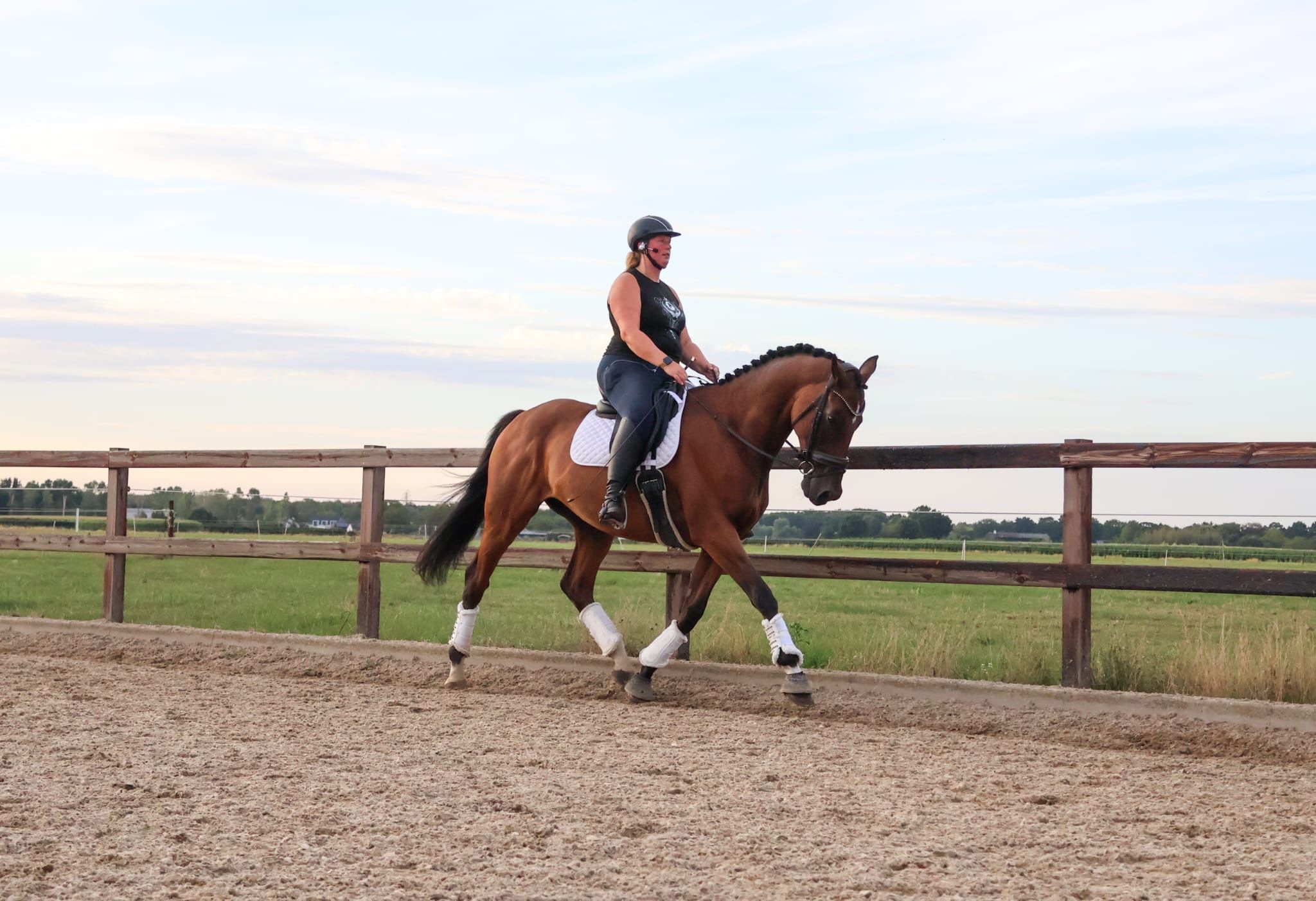 volbloed dressuurpaard ruin 10 years old donkerbruin for sale - Photo 2
