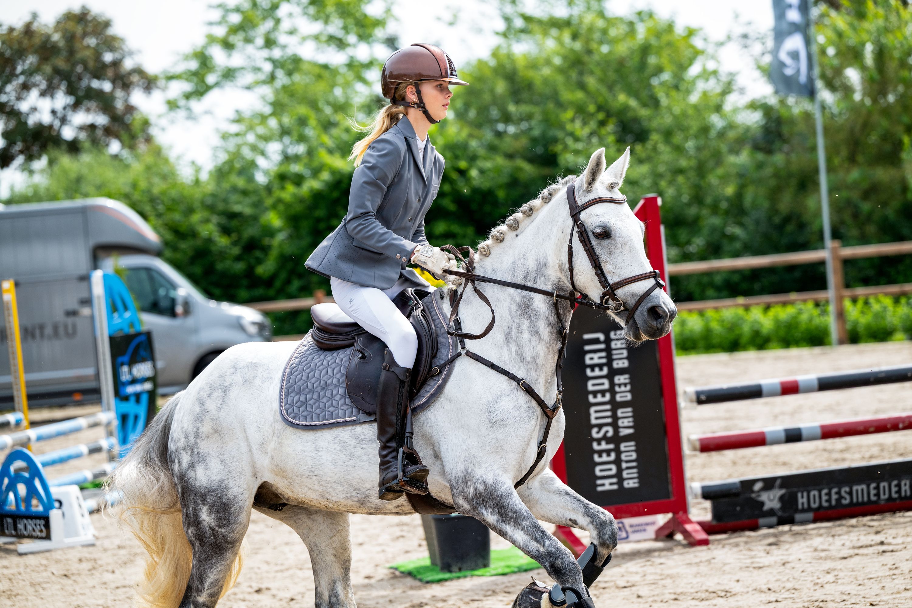 connemara eventingpony merrie 11 years old schimmel for sale - Photo 2