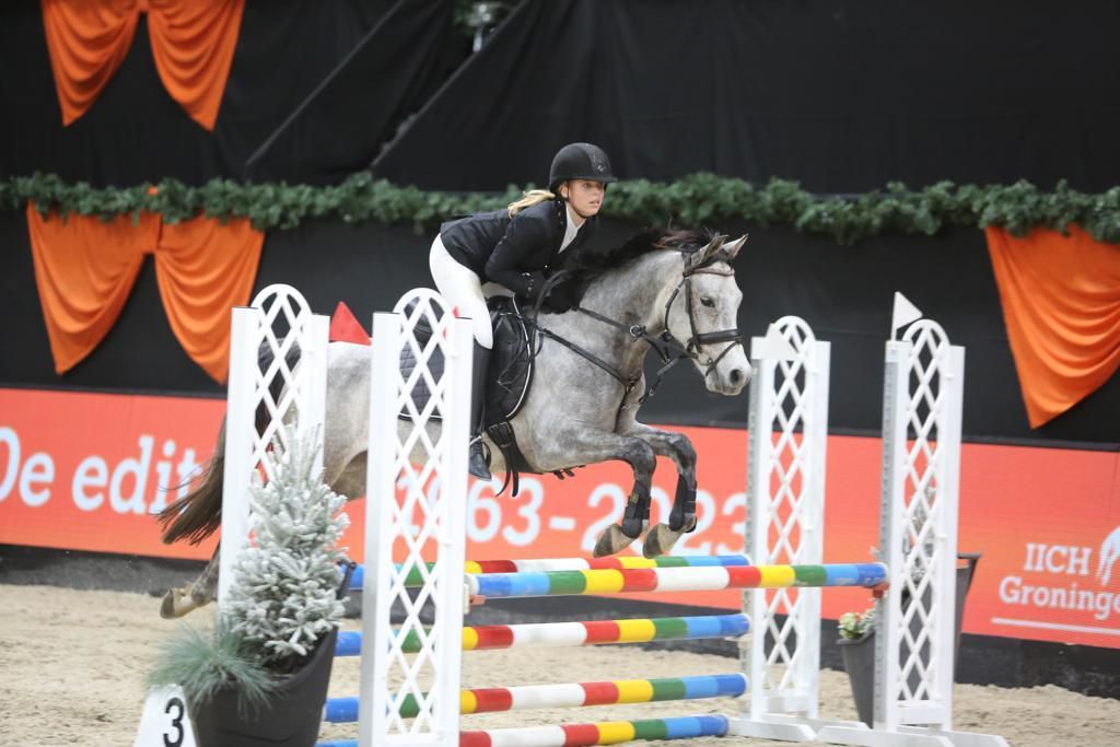 springpony ruin 9 years old schimmel for sale - Photo 2