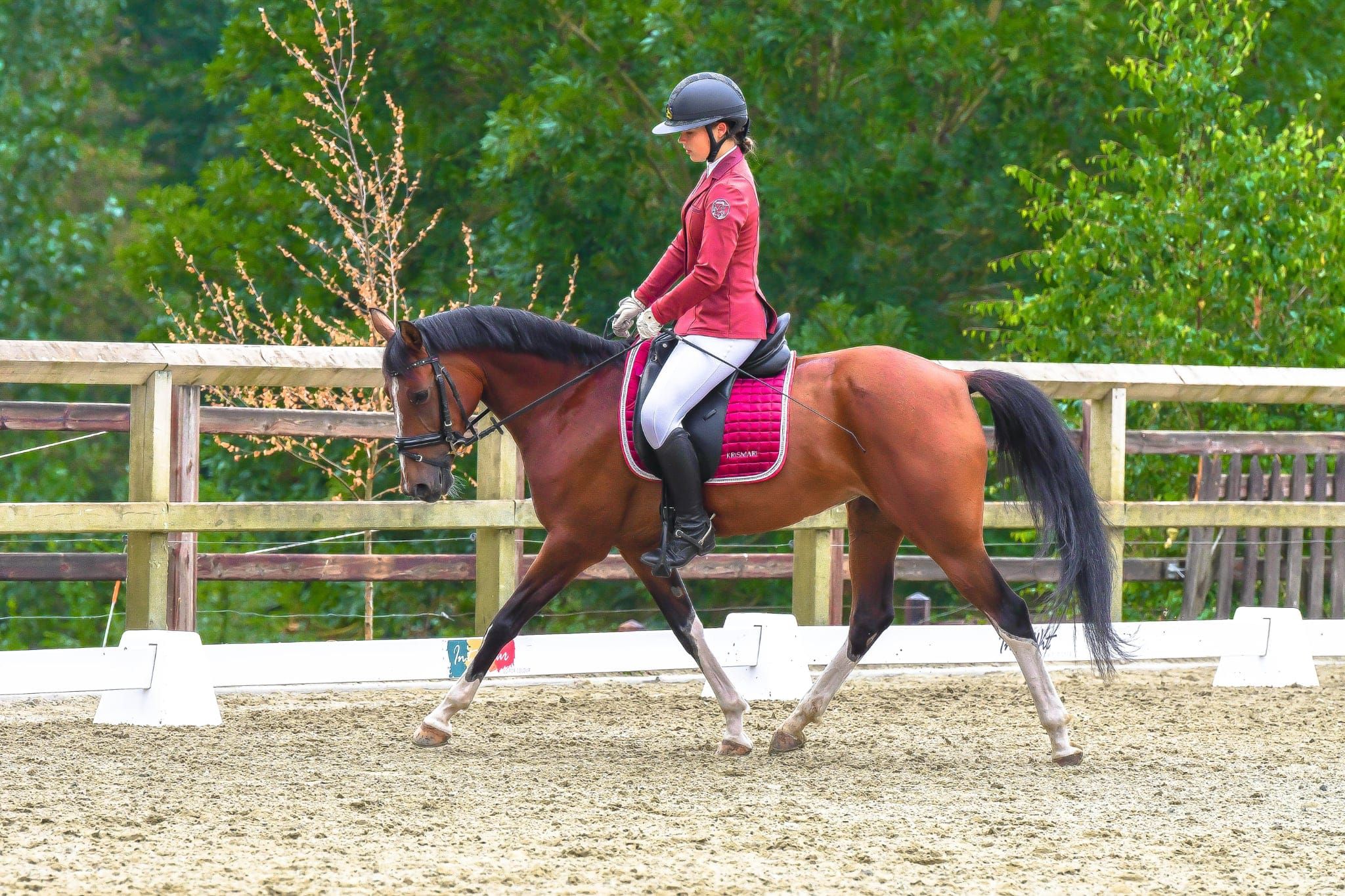 Eyecatcher!! Promising D-pony mare for sale.