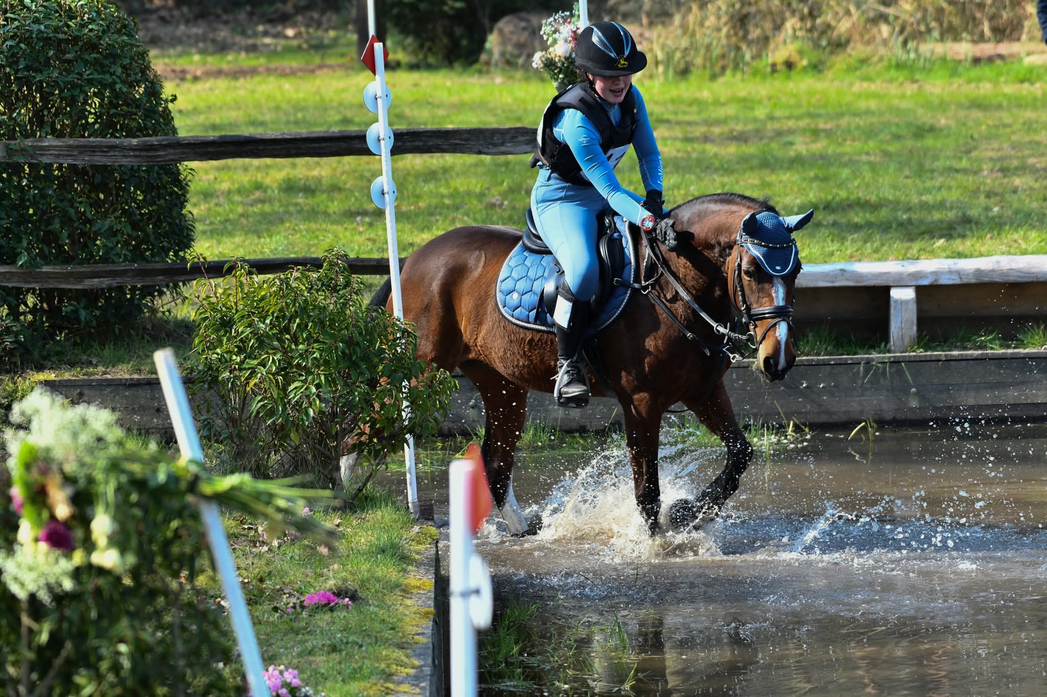 bwp allround-pony merrie 7 years old bruin for sale - Photo 3