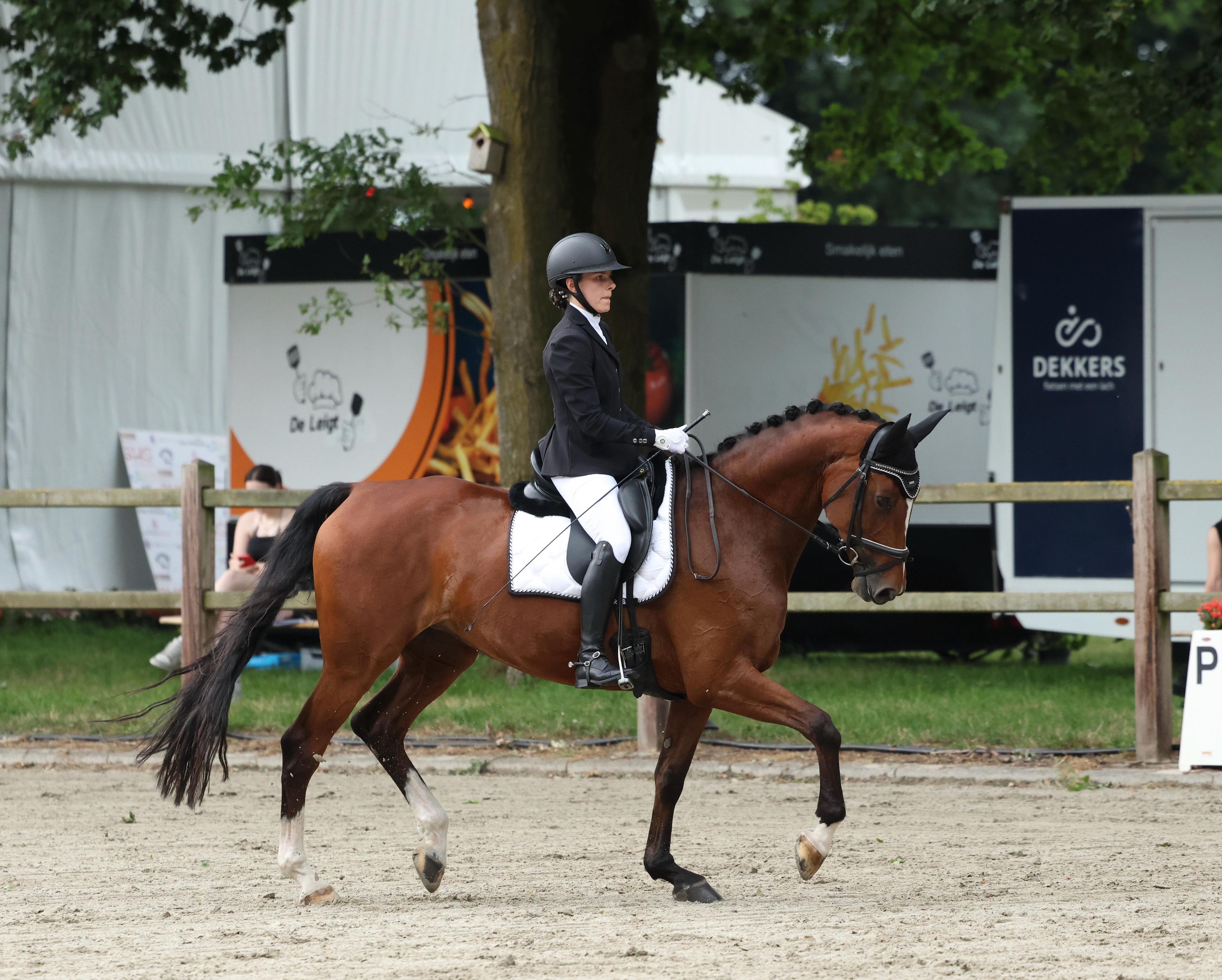kwpn dressuurpaard merrie 13 ani bruin de vânzare - Foto 6
