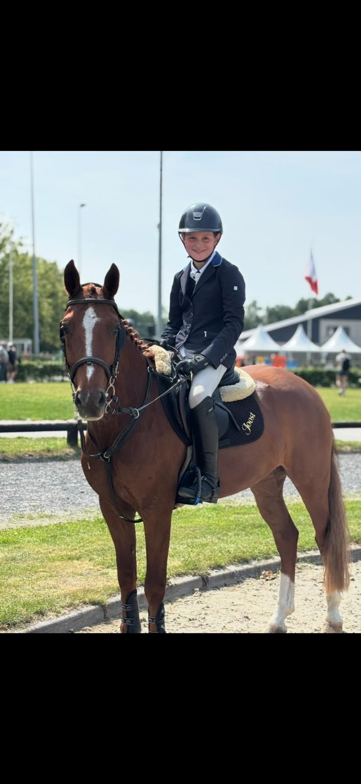 Agradable poni polivalente Tony Chocolony