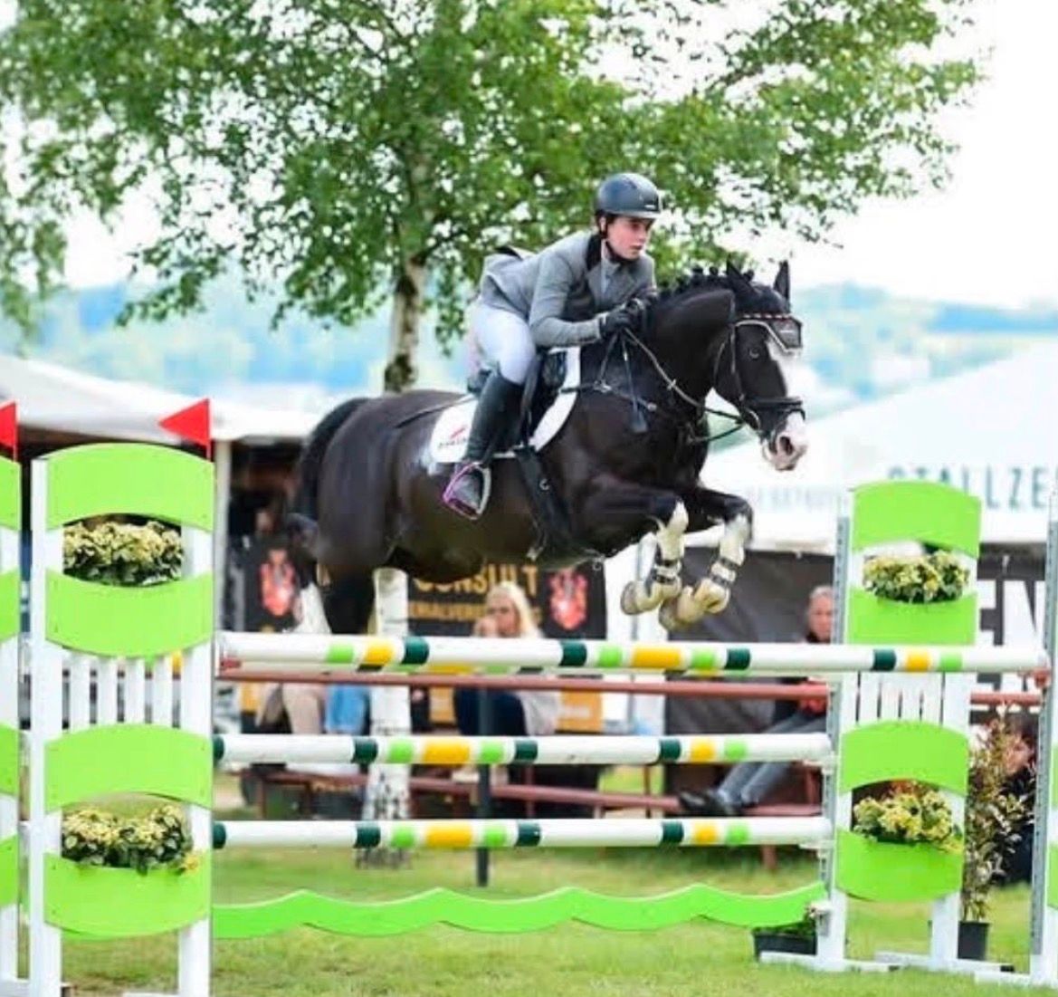 Top FEI Pony for international eventing or showjumping