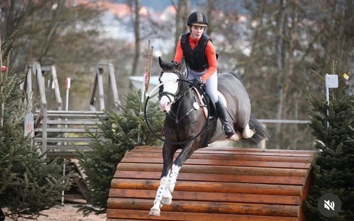 springpony ruin 10 years old zwart for sale - Photo 3