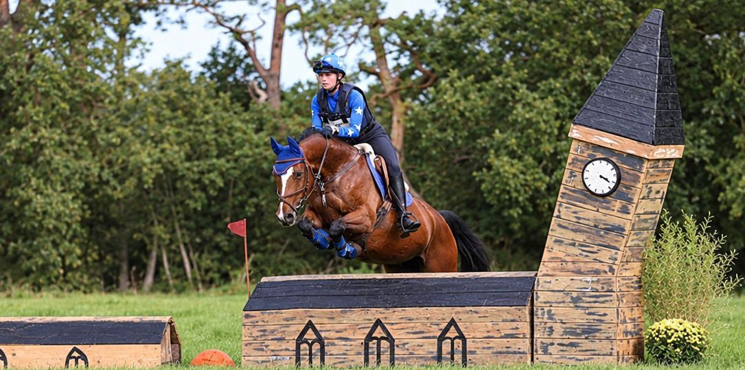 bwp allround-pony merrie 10 岁 donkerbruin 出售 - 照片 5