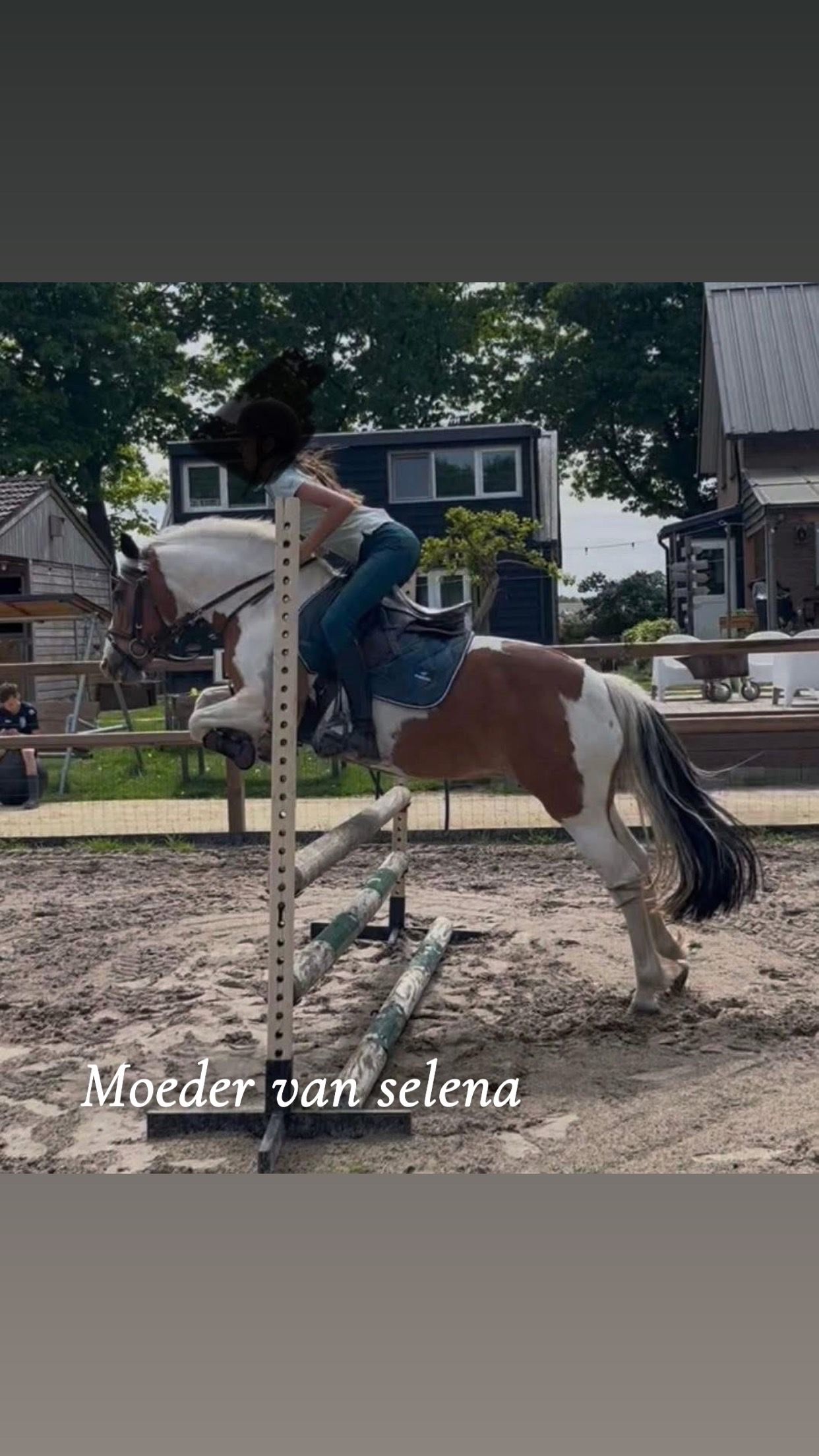 ander allround-pony merrie 3 años andere-kleur en venta - Foto 2