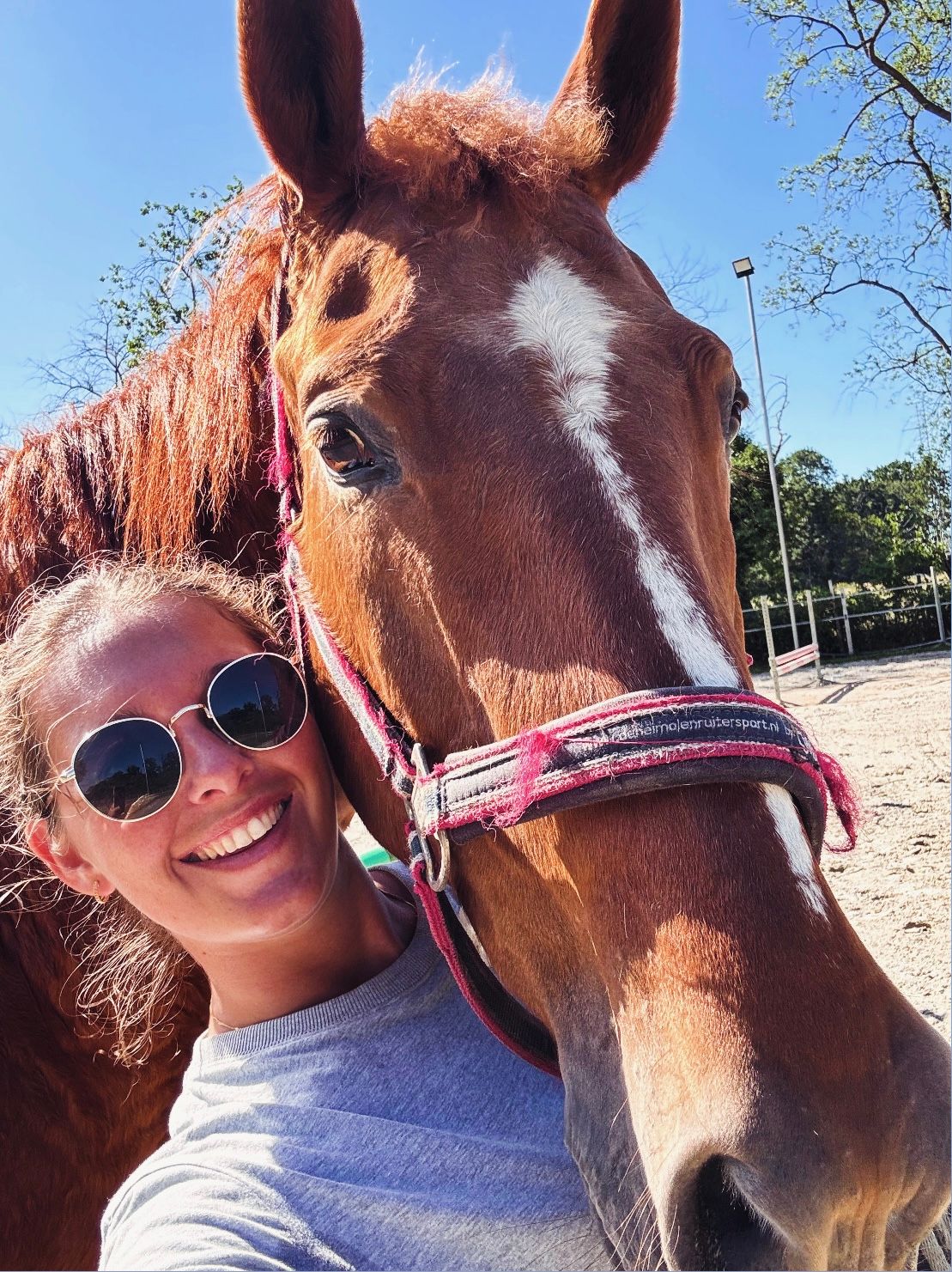 recreatie-paard merrie 21 anos vos à venda - Foto 2