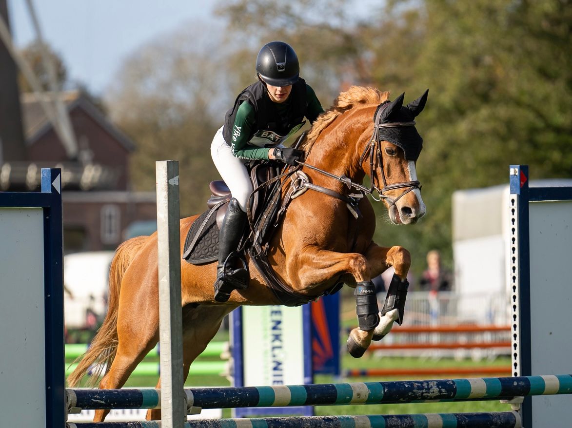 welsh springpony merrie 7 Jahre alt vos zu verkaufen - Foto 6