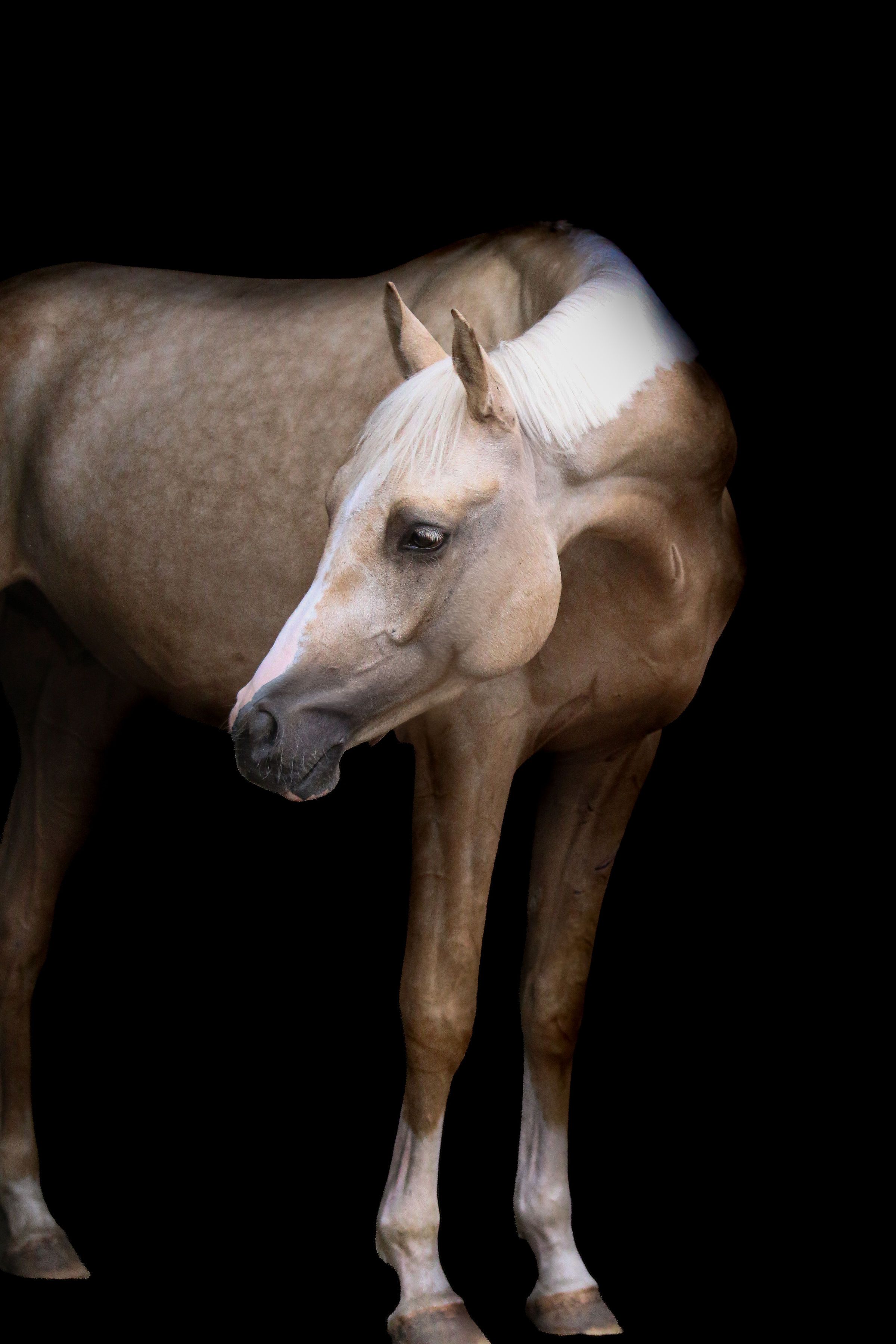Upea 3,5-vuotias kouluruuna