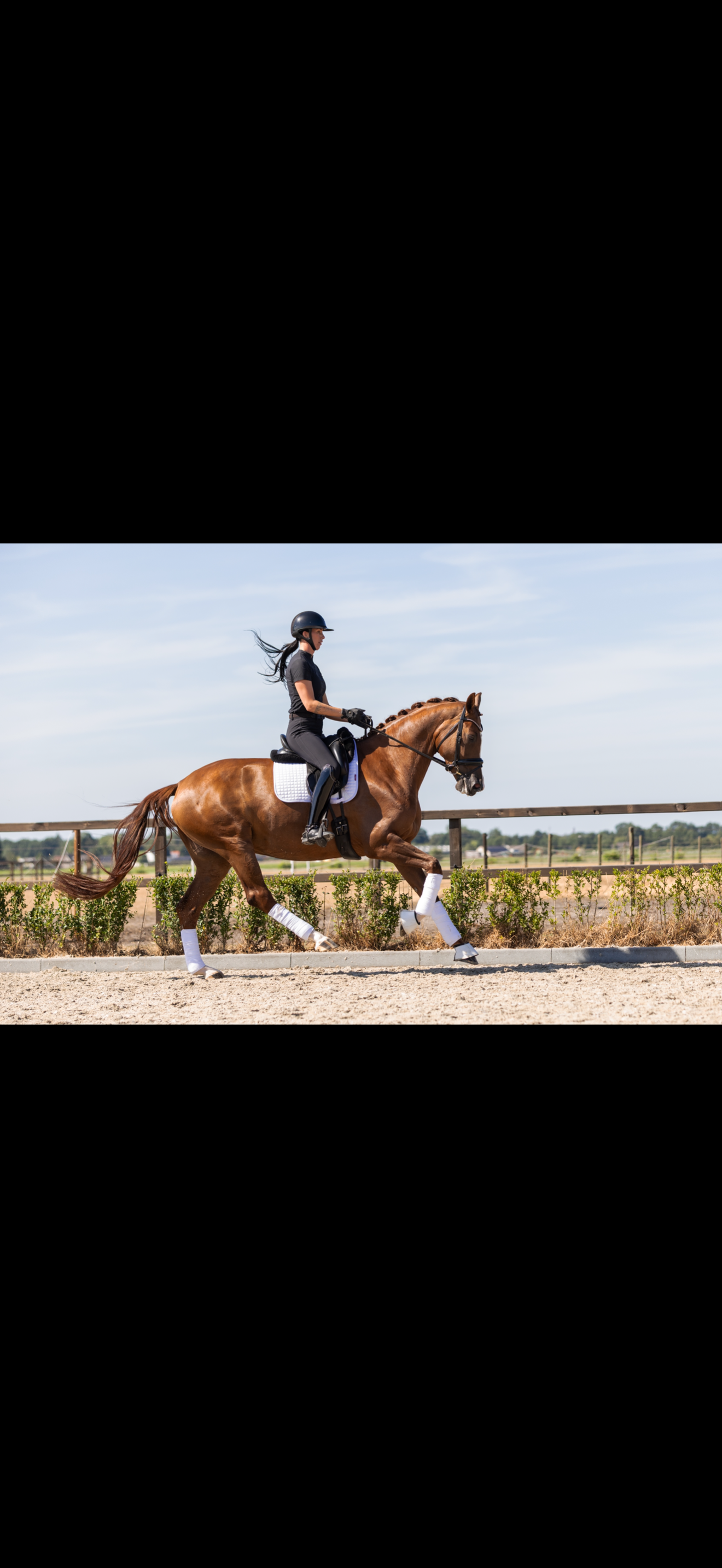 kwpn dressuurpaard merrie 5 Jahre alt vos zu verkaufen - Foto 5