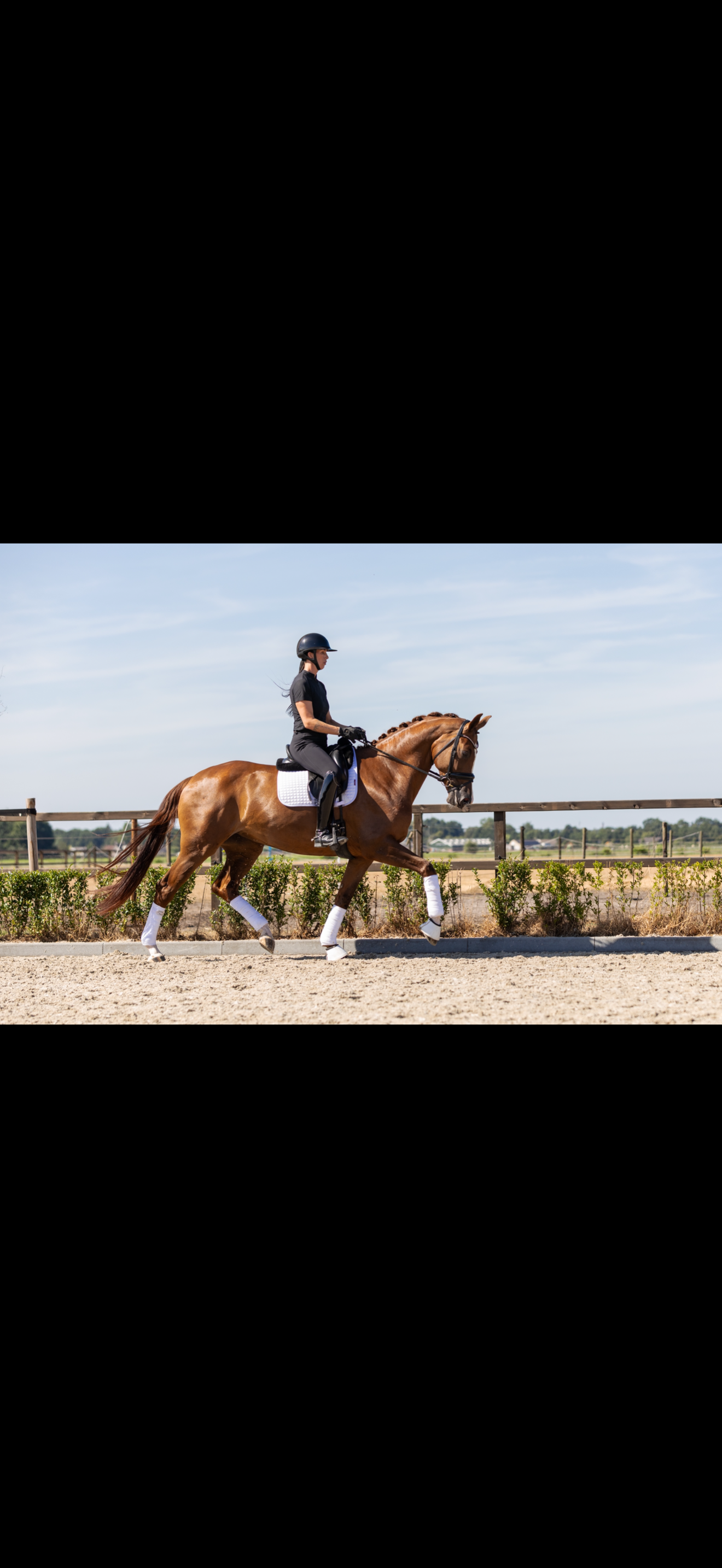 kwpn dressuurpaard merrie 5 Jahre alt vos zu verkaufen - Foto 6