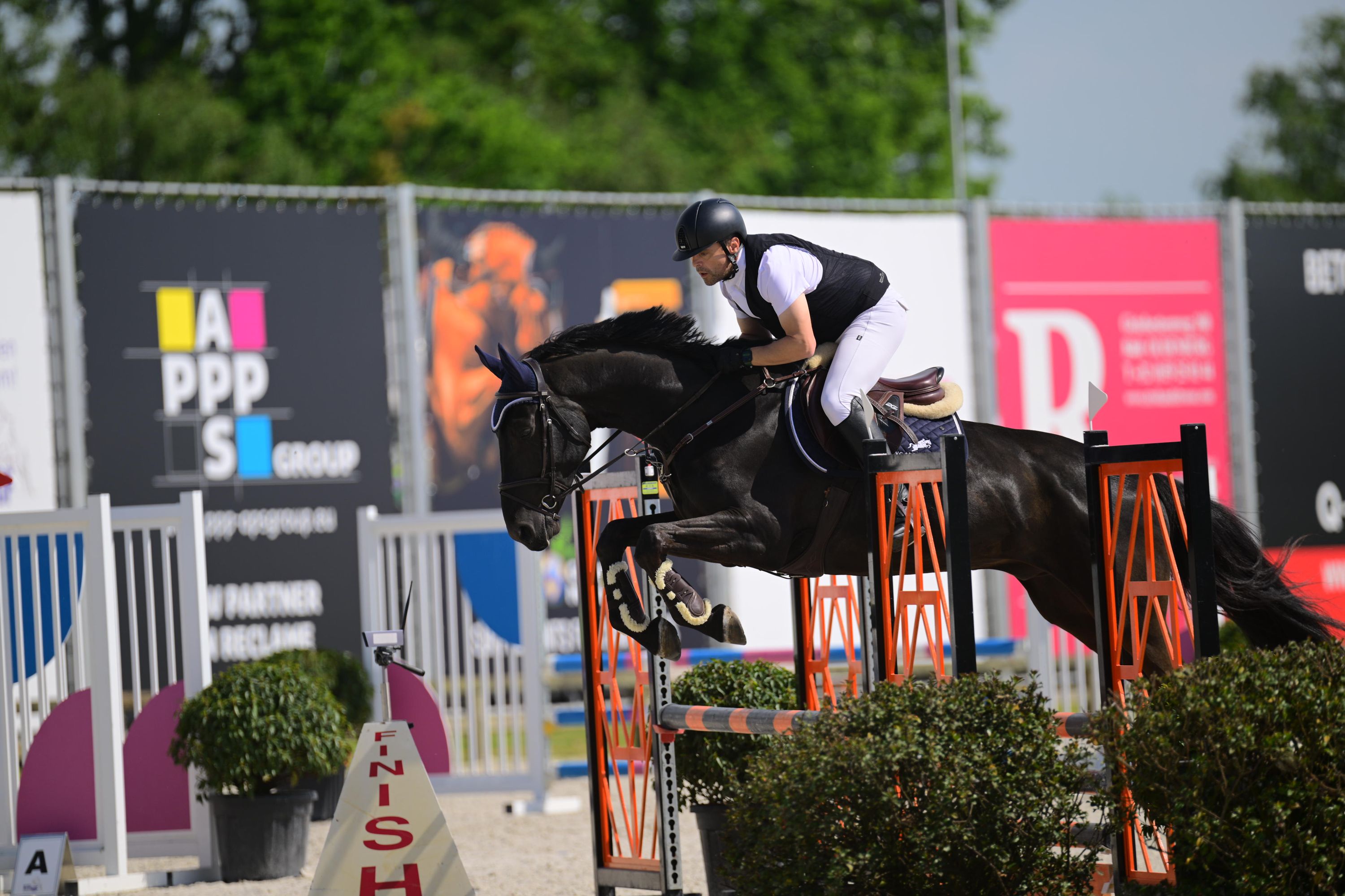 bwp springpaard ruin 6 years old zwart for sale - Photo 2