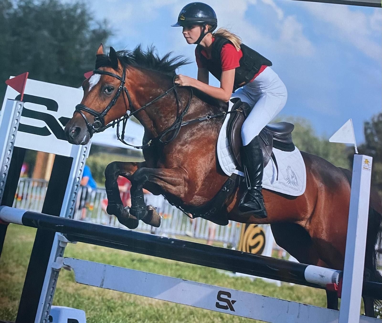 Top pony C in vendita