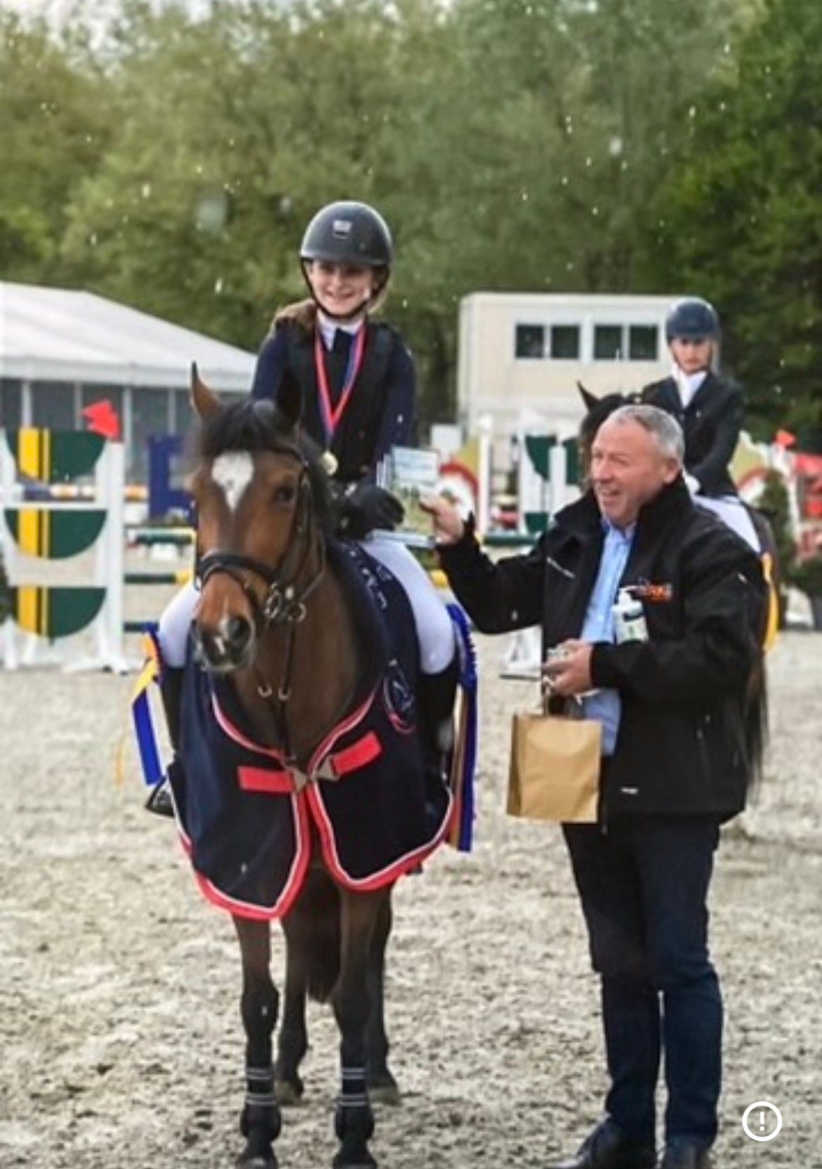 new-forest springpony merrie 14 anni bruin in vendita - Foto 2