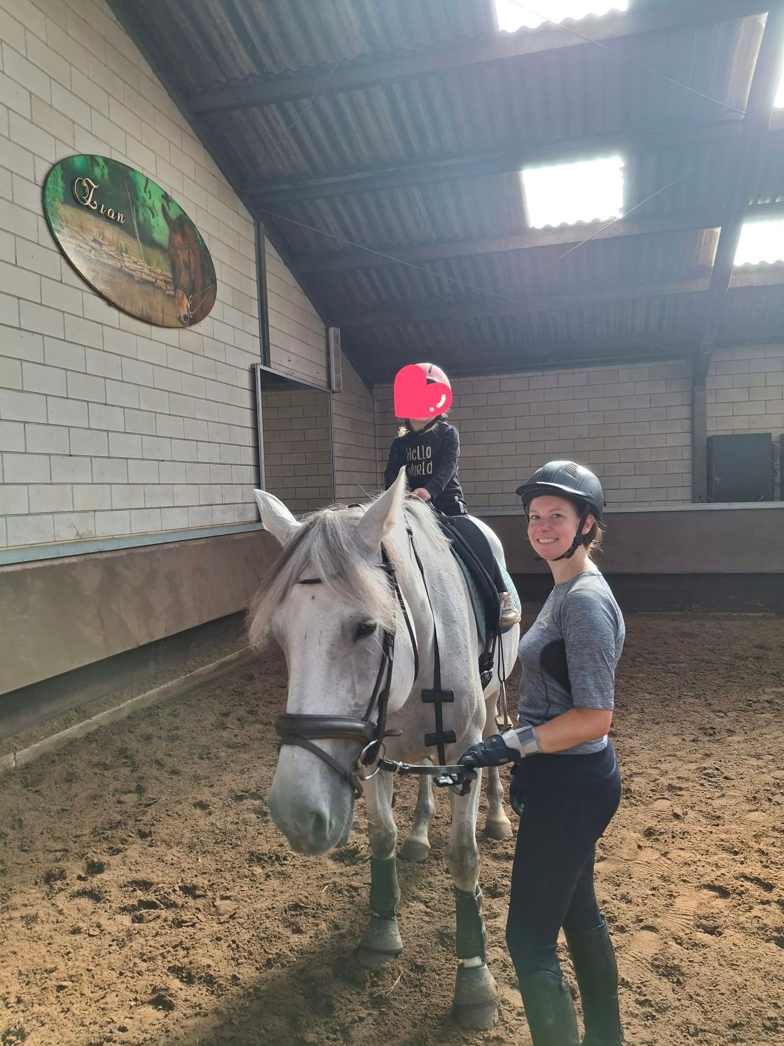 kwpn dressuurpaard merrie 15 years old schimmel for sale - Photo 4